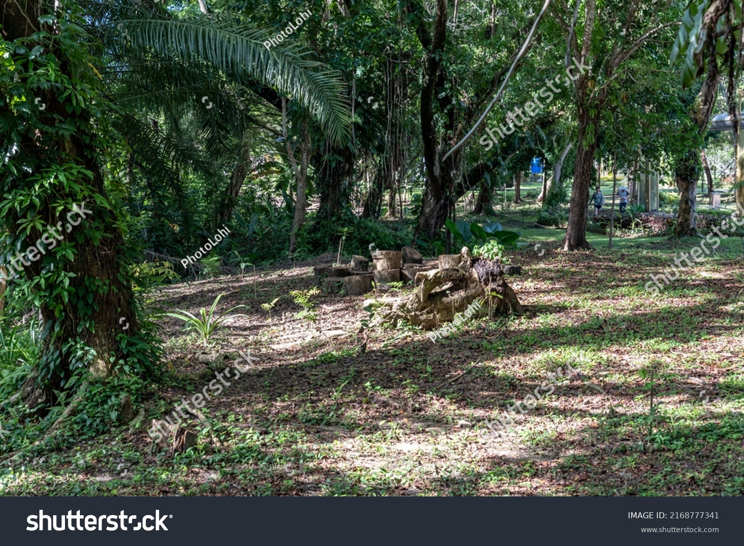 Labuan Malaysiajune 08 2021 Labuan Botanical Stock Photo 2168777341 ...