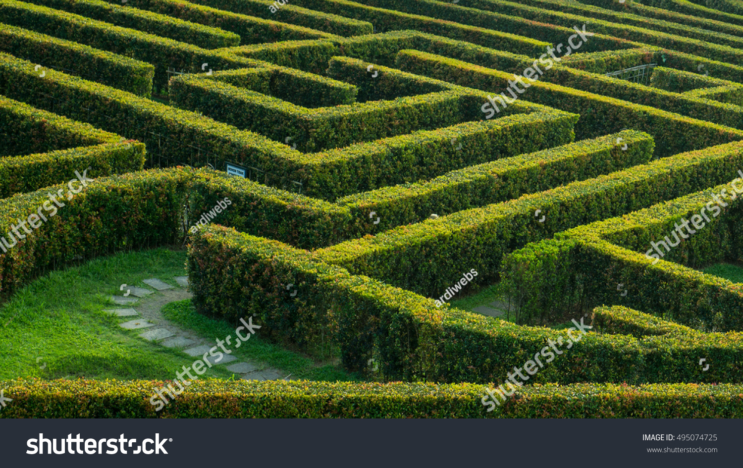 Maze Garden Images, Stock Photos & Vectors 