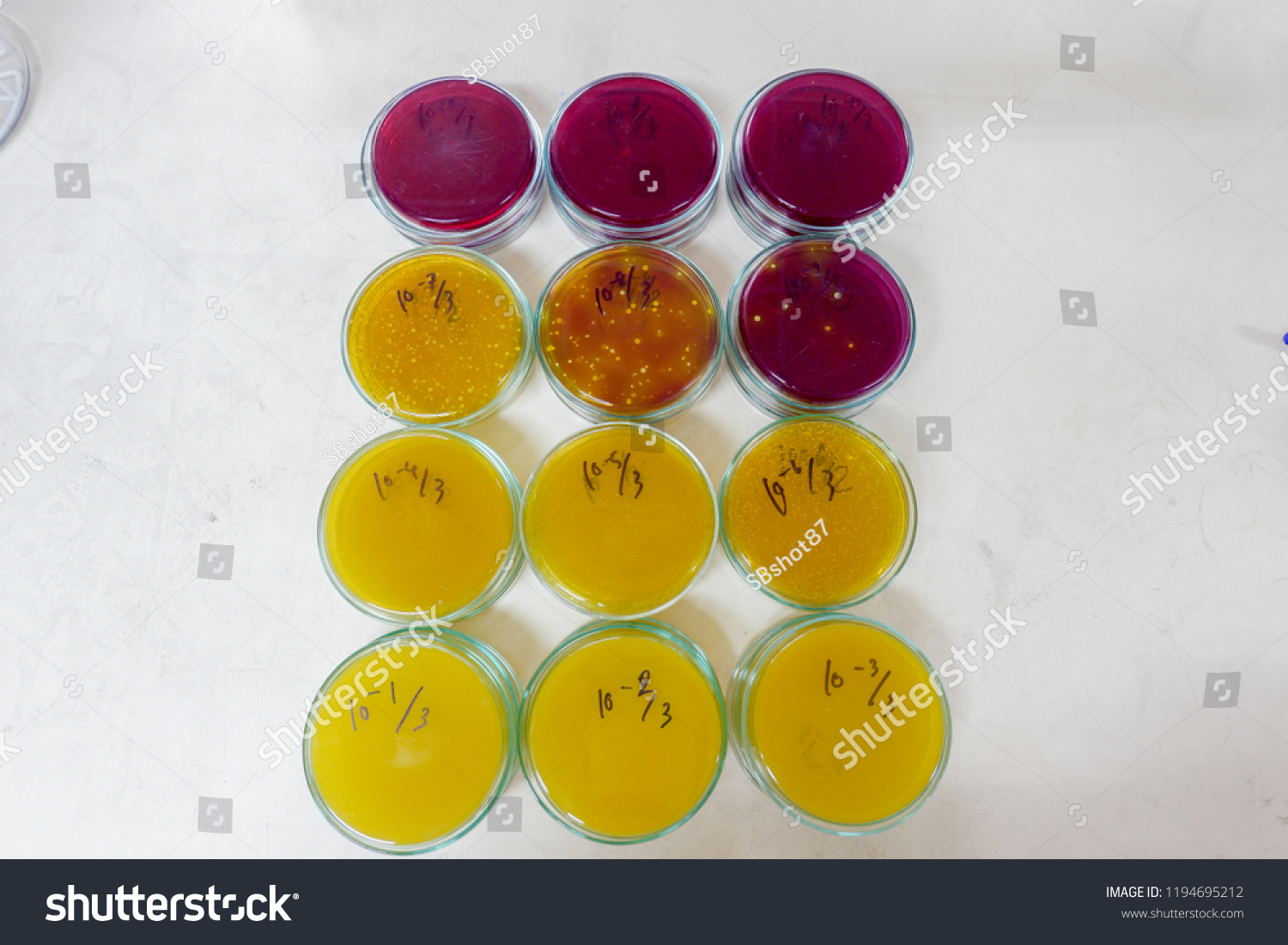 53 Serial Dilution 图片 库存照片和矢量图 Shutterstock