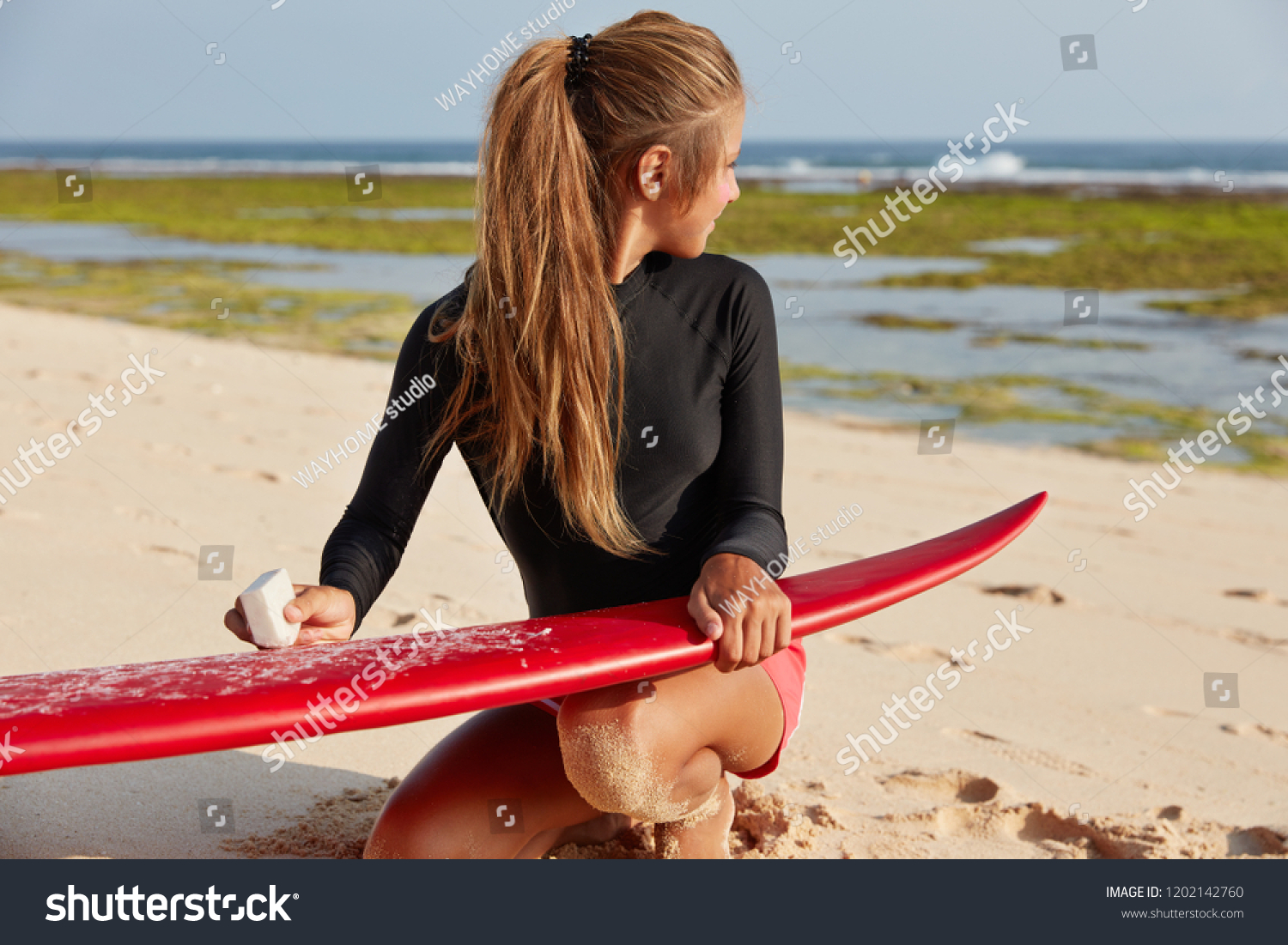 Lady Dressed Beaver Tail Prepares Surfing Stock Photo Edit Now