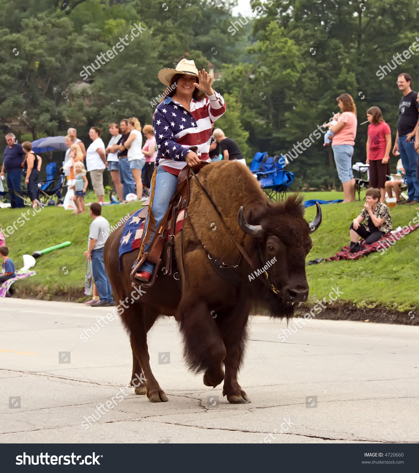 Lady Riding Buffalo Parade Photo (Edit 4720660