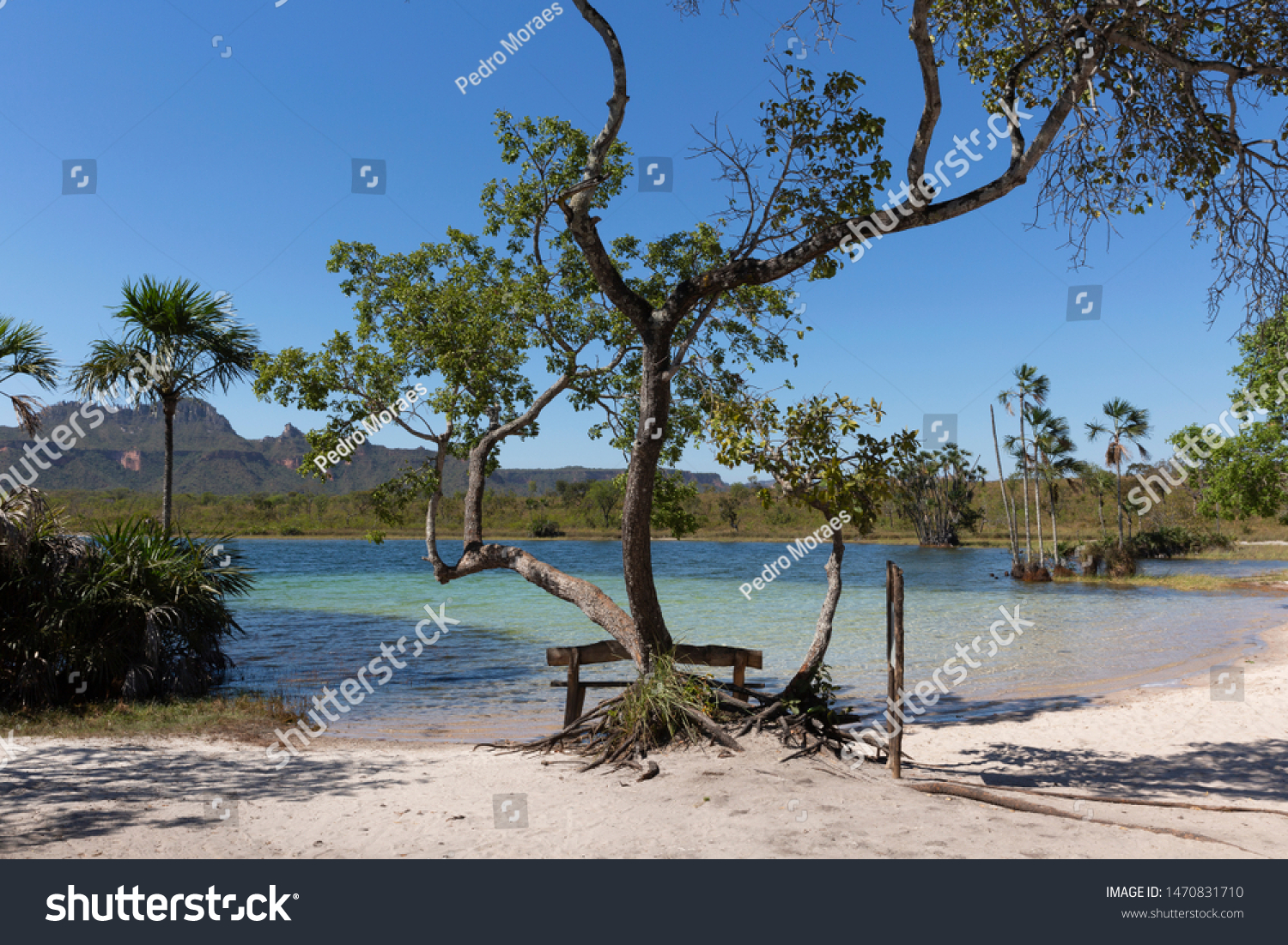 Rio da Conceição Tocantins fonte: image.shutterstock.com