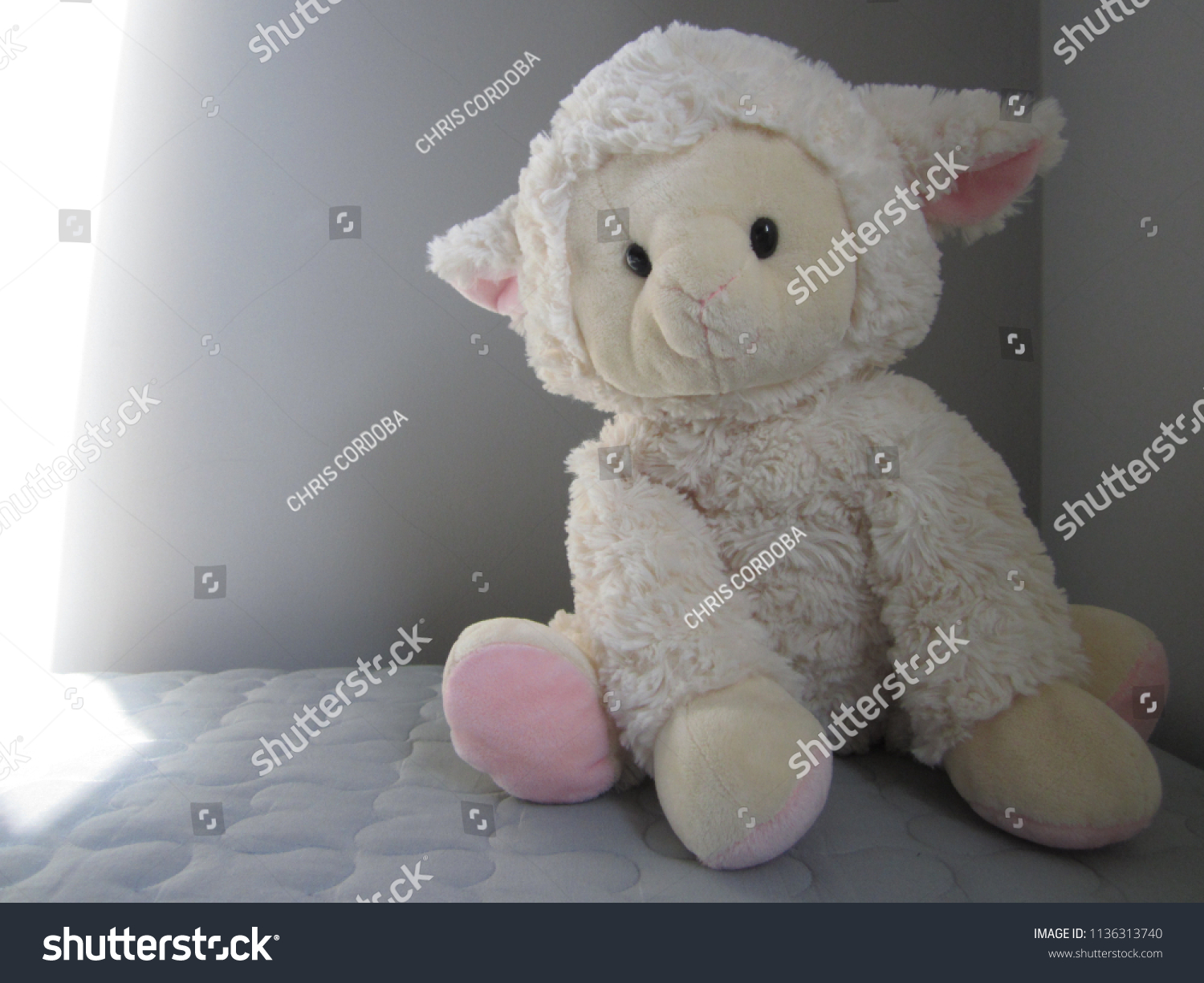 pink lamb stuffed animal