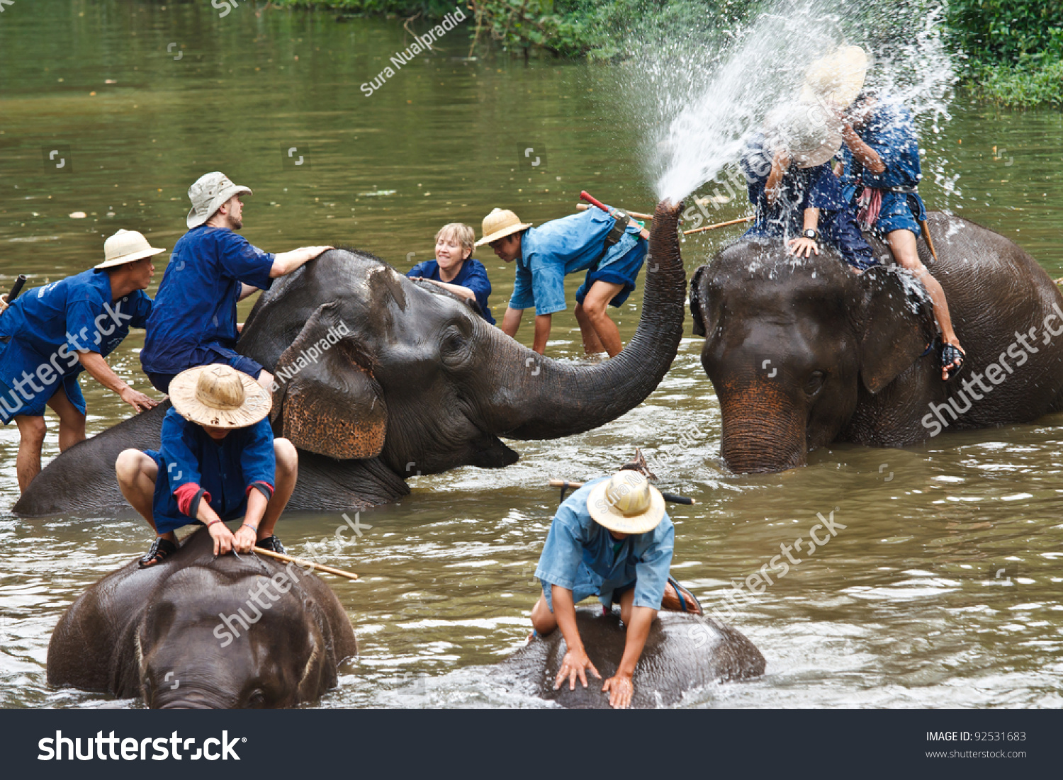 Lampang, Thailand - Dec. 12: Daily Elephants Bath At The Thai Elephant ...