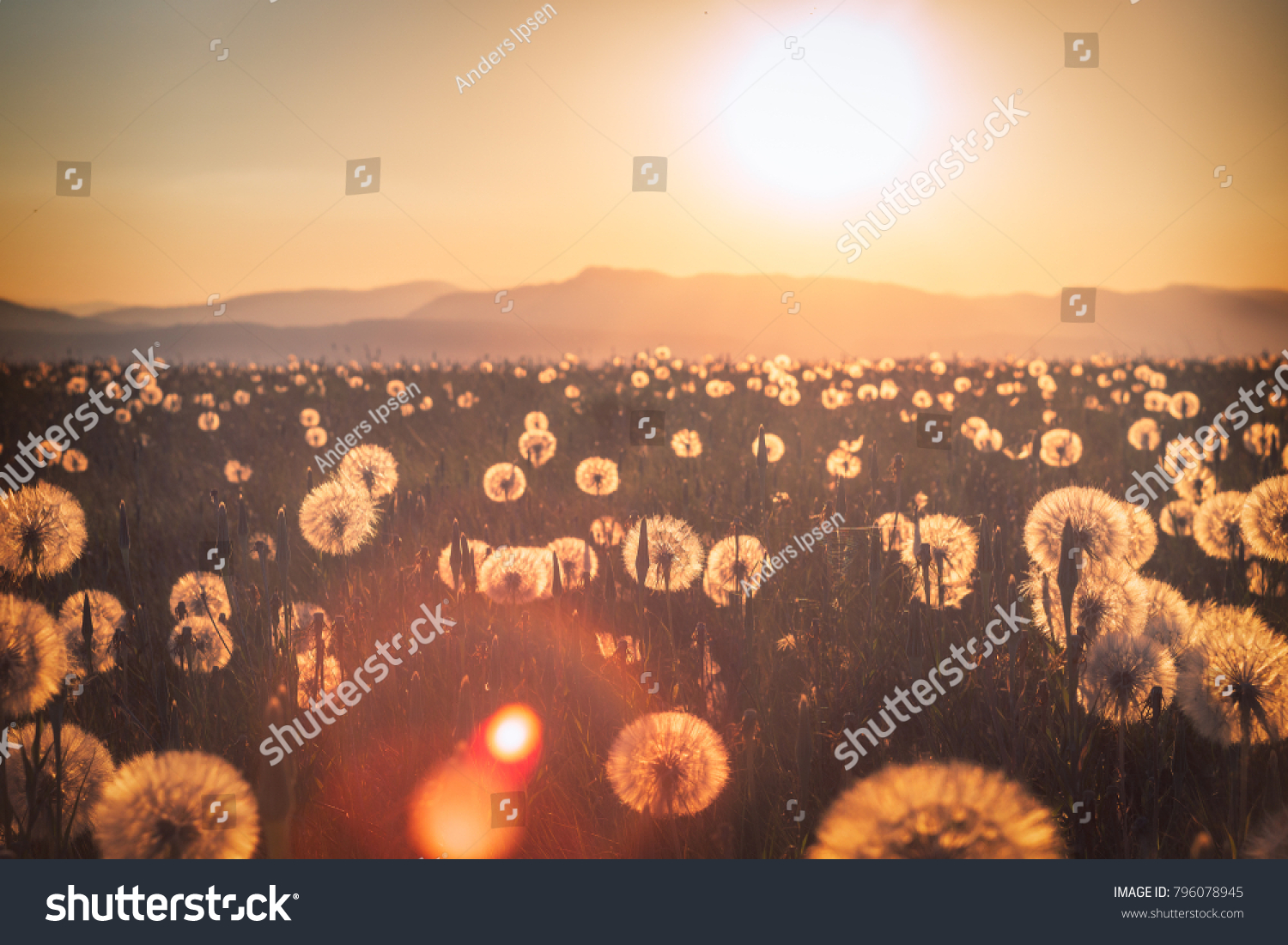 Landscape Stock Photo 796078945 Shutterstock Landscape Stock Photo 796078945 Shutterstock