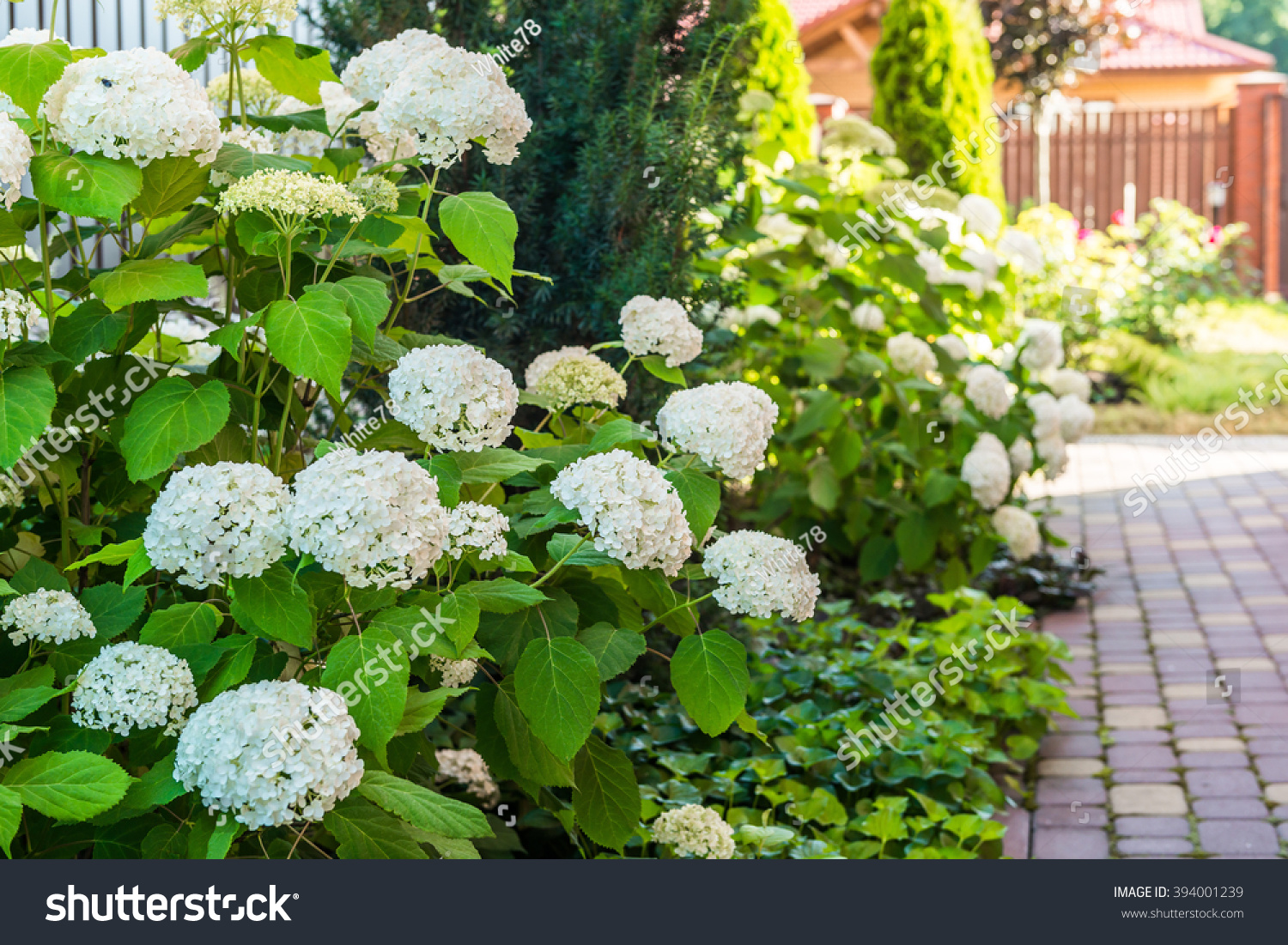 Landscape Design Stock Photo 394001239 Shutterstock Landscape Design Stock Photo 394001239 Shutterstock