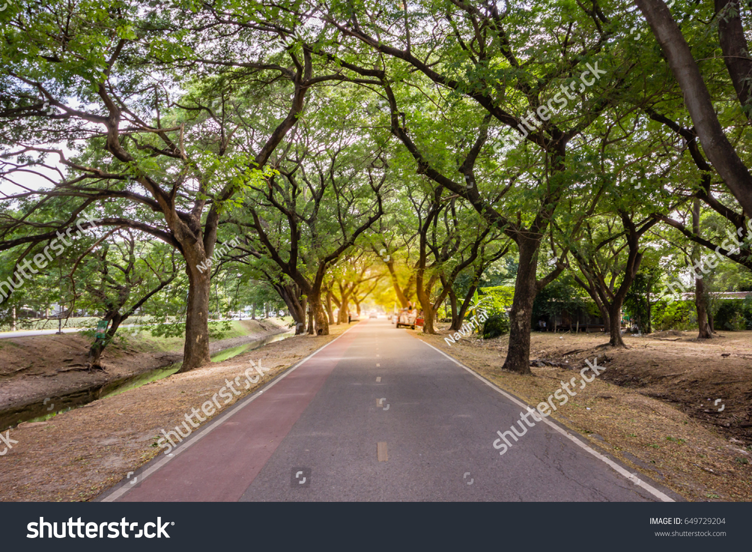 Landscape Straight Road Under Tunnel Trees Stock Photo 649729204 ... for Straight Road With Trees
155fiz Landscape Straight Road Under Tunnel Trees Stock Photo 649729204 ... for Straight Road With Trees
155fiz