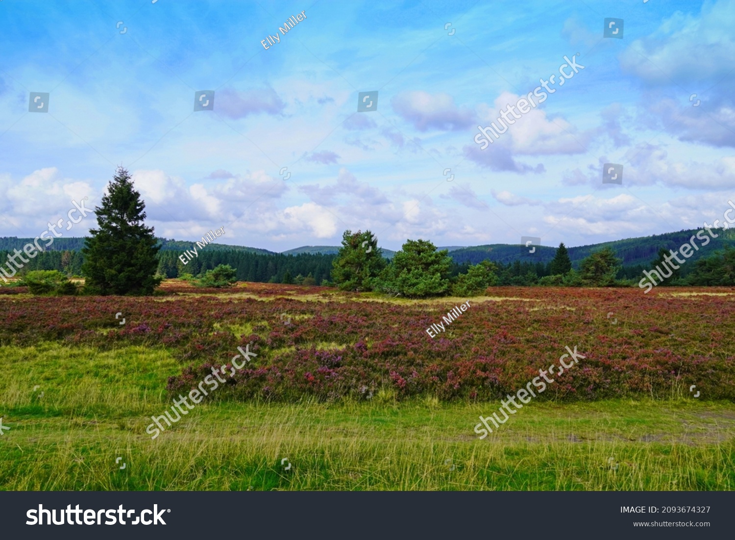 149 Areas hagen Images, Stock Photos & Vectors | Shutterstock