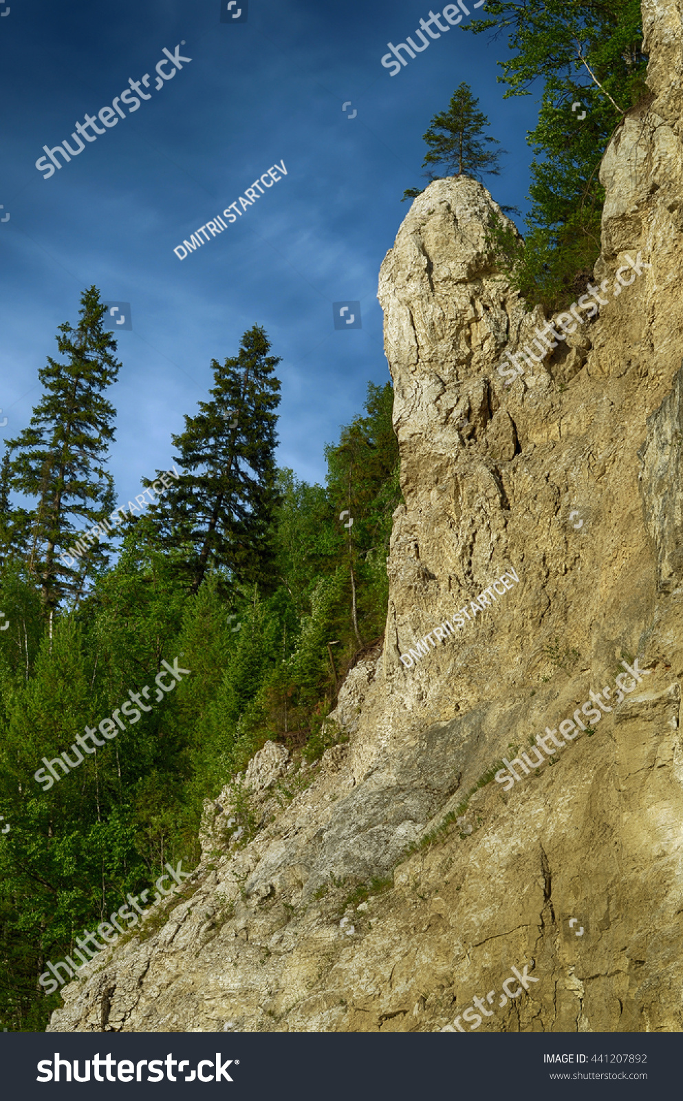 landscape penis photo pic Landscape penis photo pic
