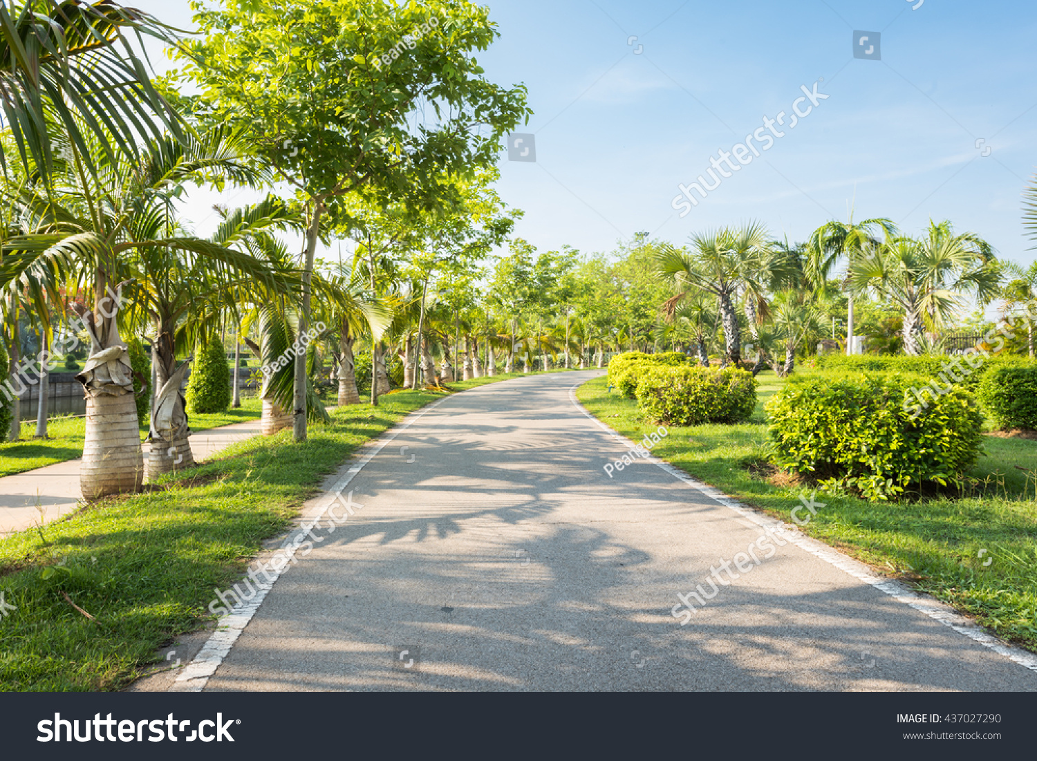 landscape jogging track green
