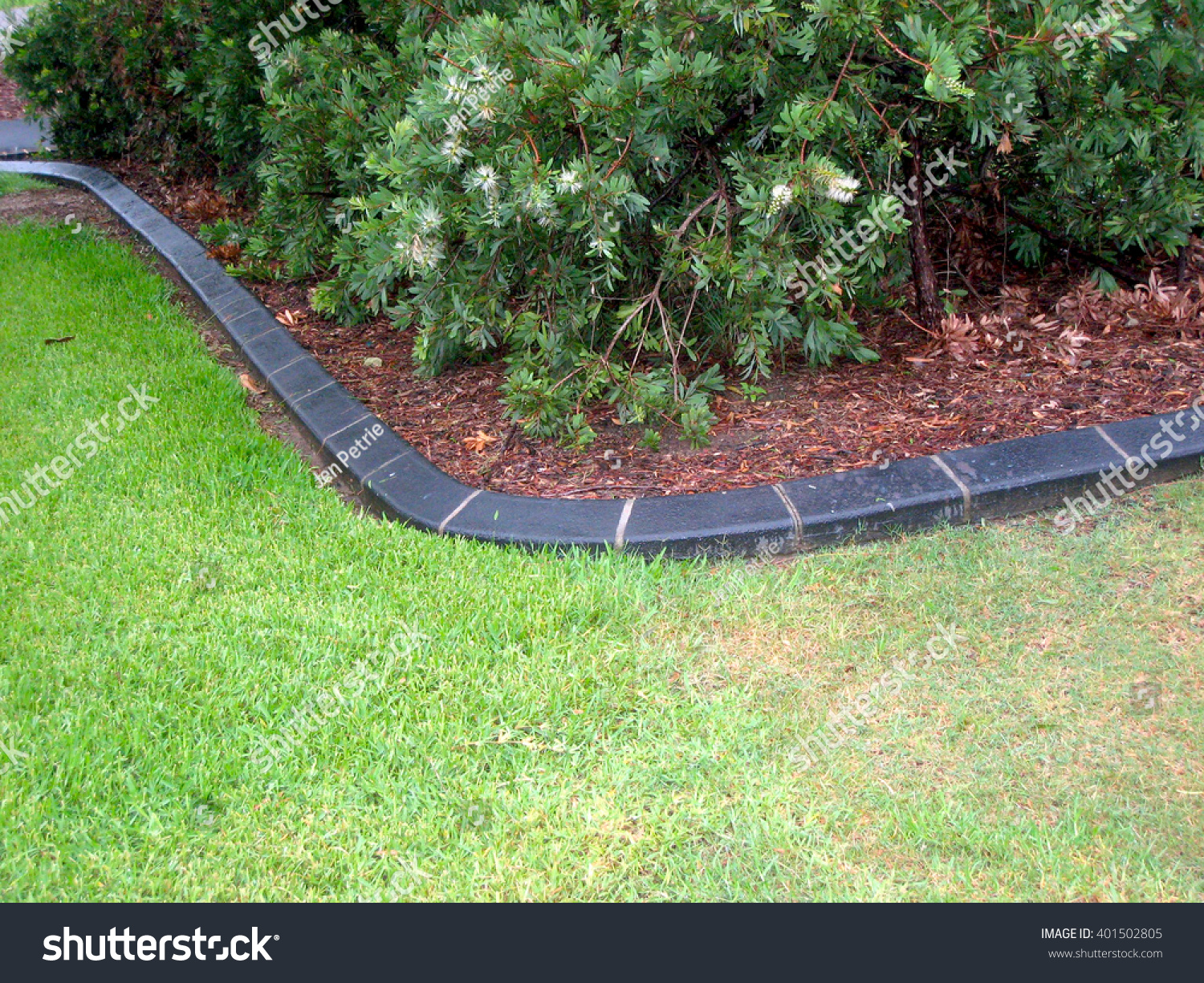 CK Water Systems and Landscape Development - Project Photos & Reviews - San  Francisco, CA US - Houzz