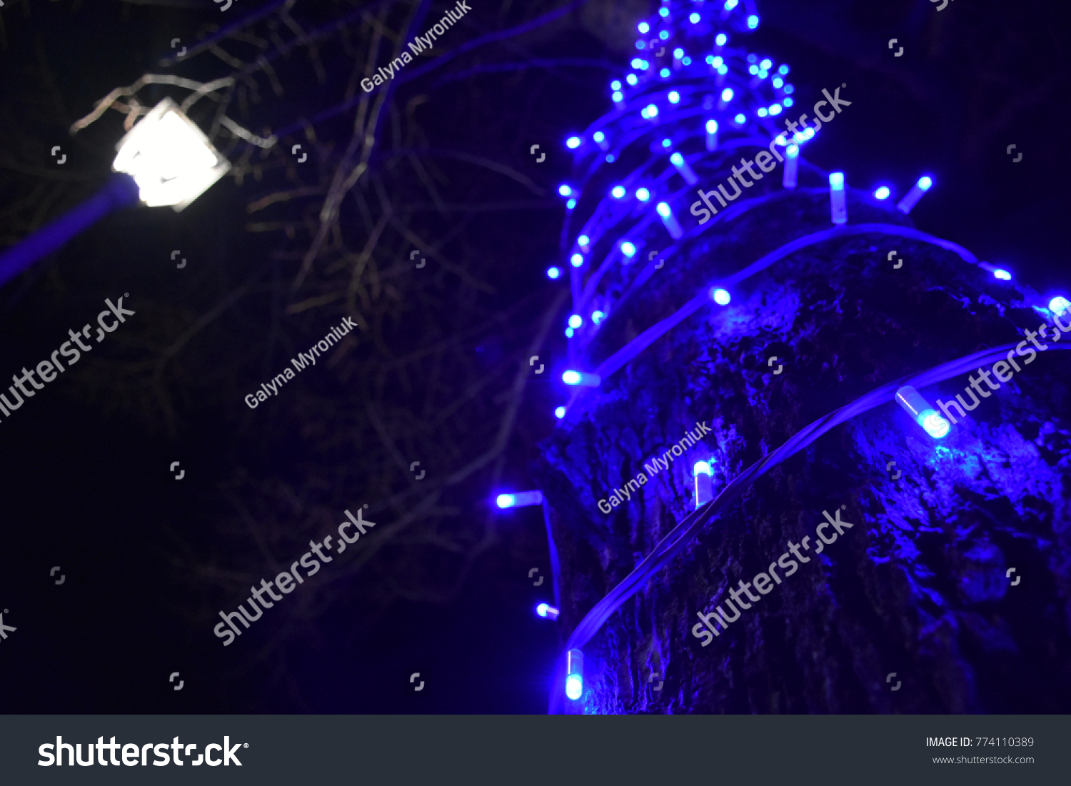 Lanterns Night Trees Stock Photo 774110389 - Shutterstock for Lanterns At Night In Trees
45gtk Lanterns Night Trees Stock Photo 774110389 - Shutterstock for Lanterns At Night In Trees
45gtk