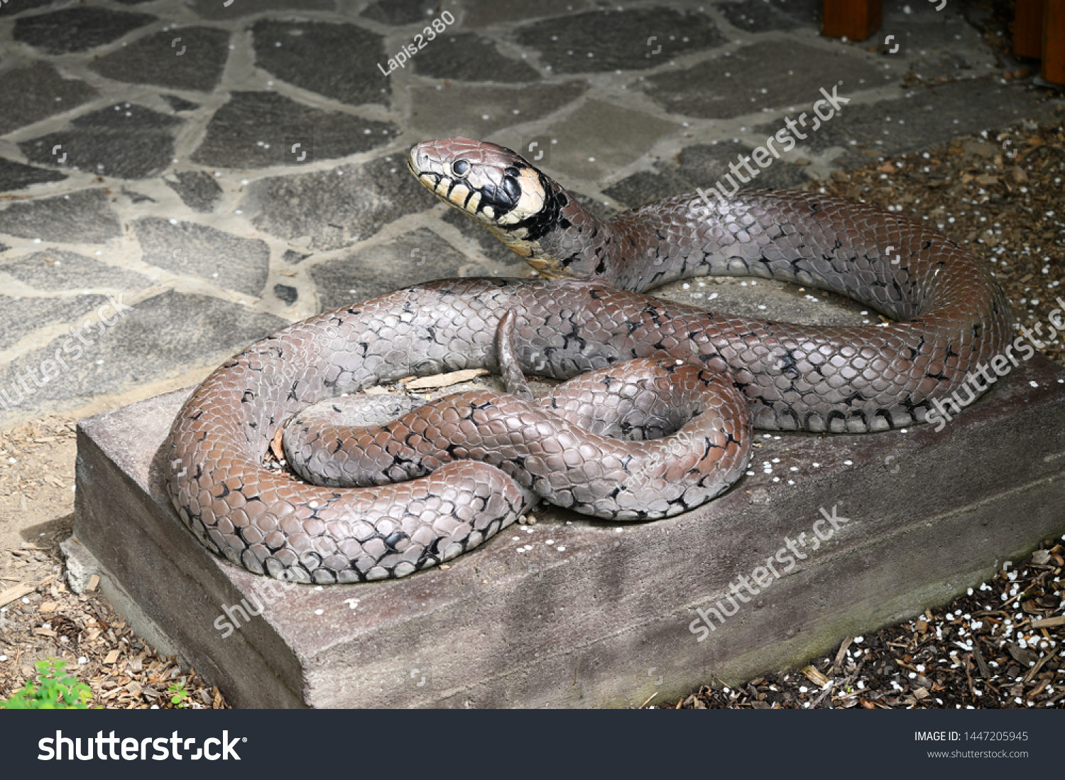 large plastic snake