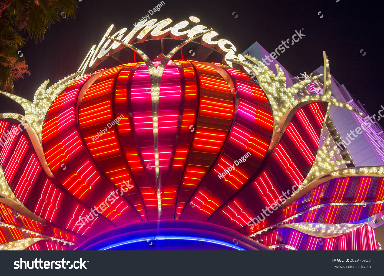 Las Vegas June 15 Flamingo Hotel Stock Photo 202975933 Shutterstock