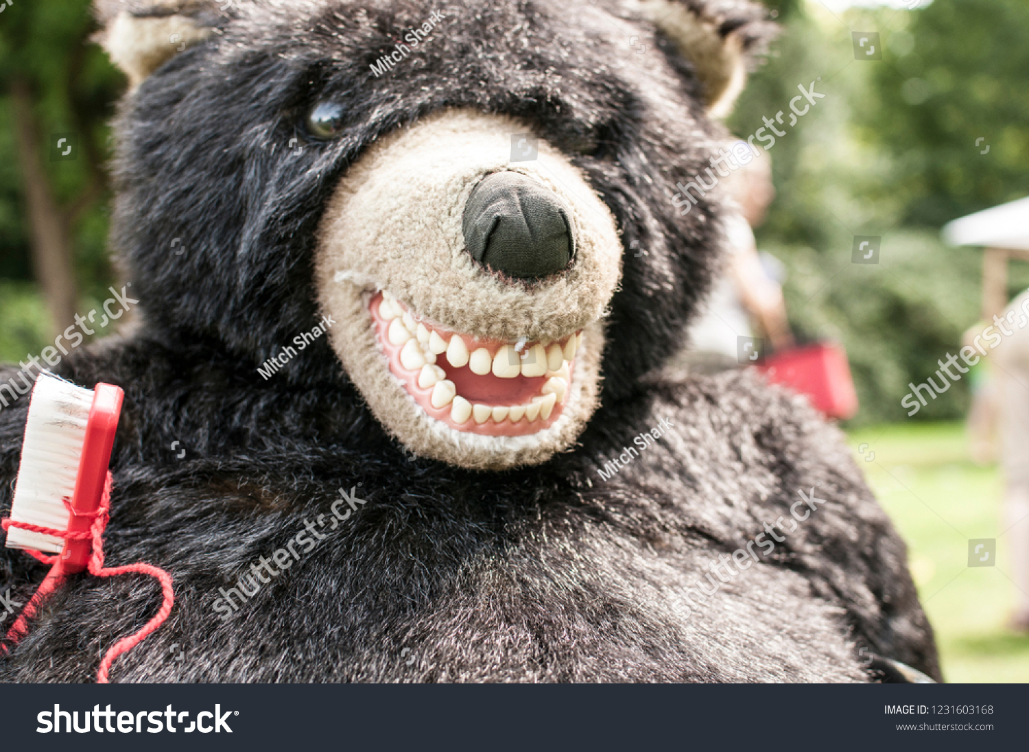 real teeth teddy bear