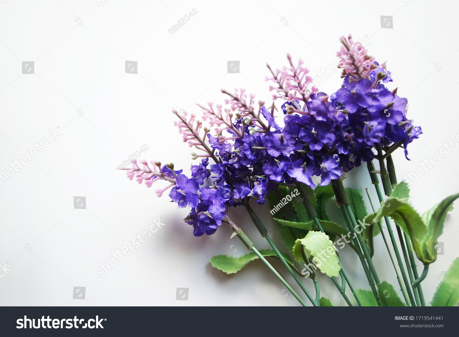 Lavender Flowers On White Background Stock Photo 1719541441 | Shutterstock