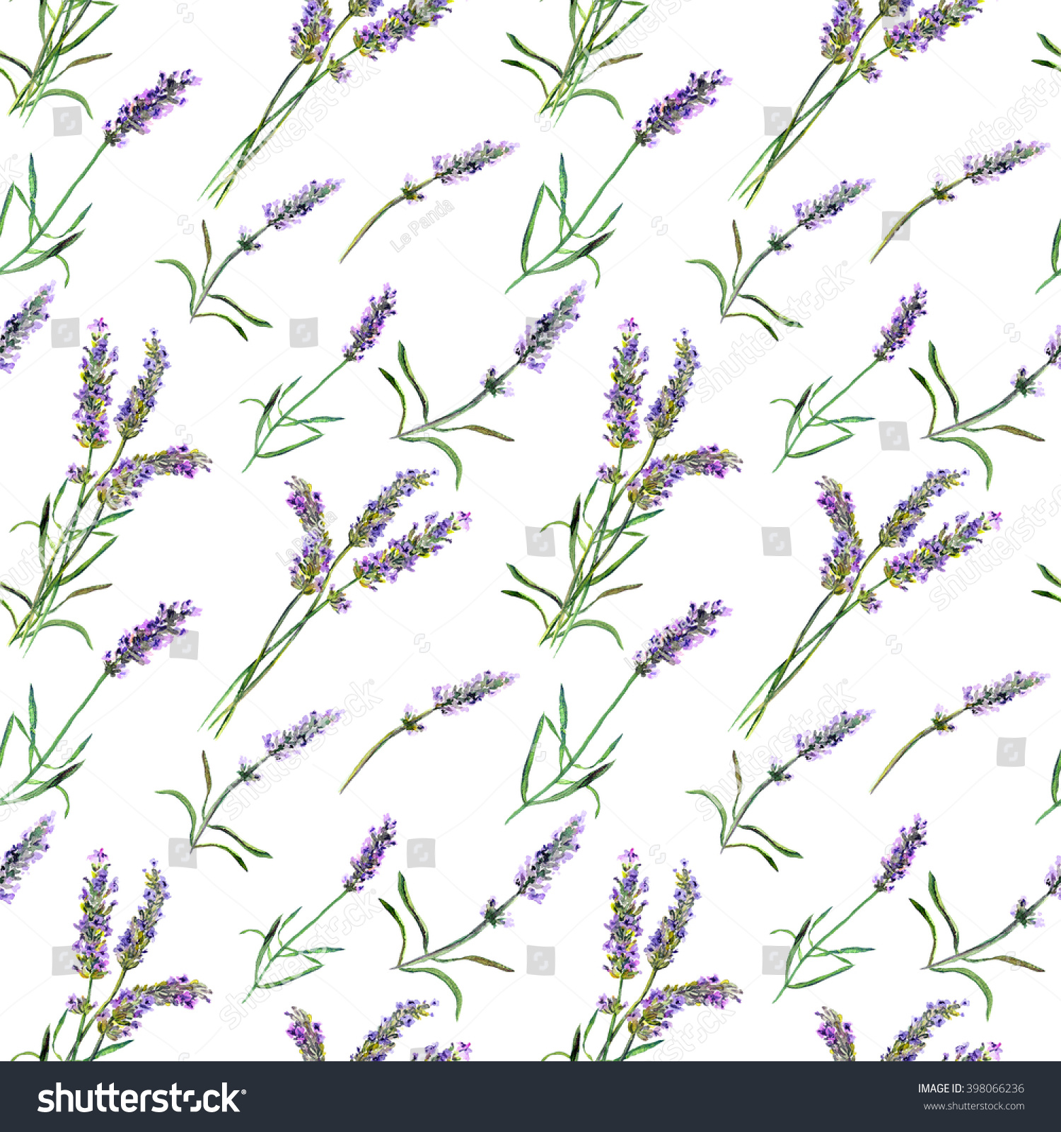 Lavender Flowers. Watercolor Stock Photo 398066236 : Shutterstock