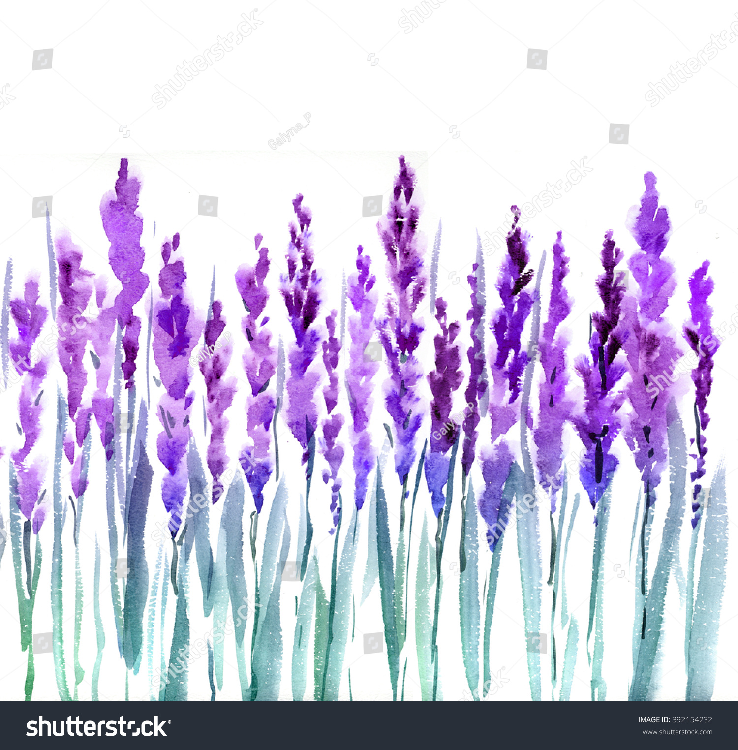 Lavender Watercolor Illustration Decorative Paint Background Stock