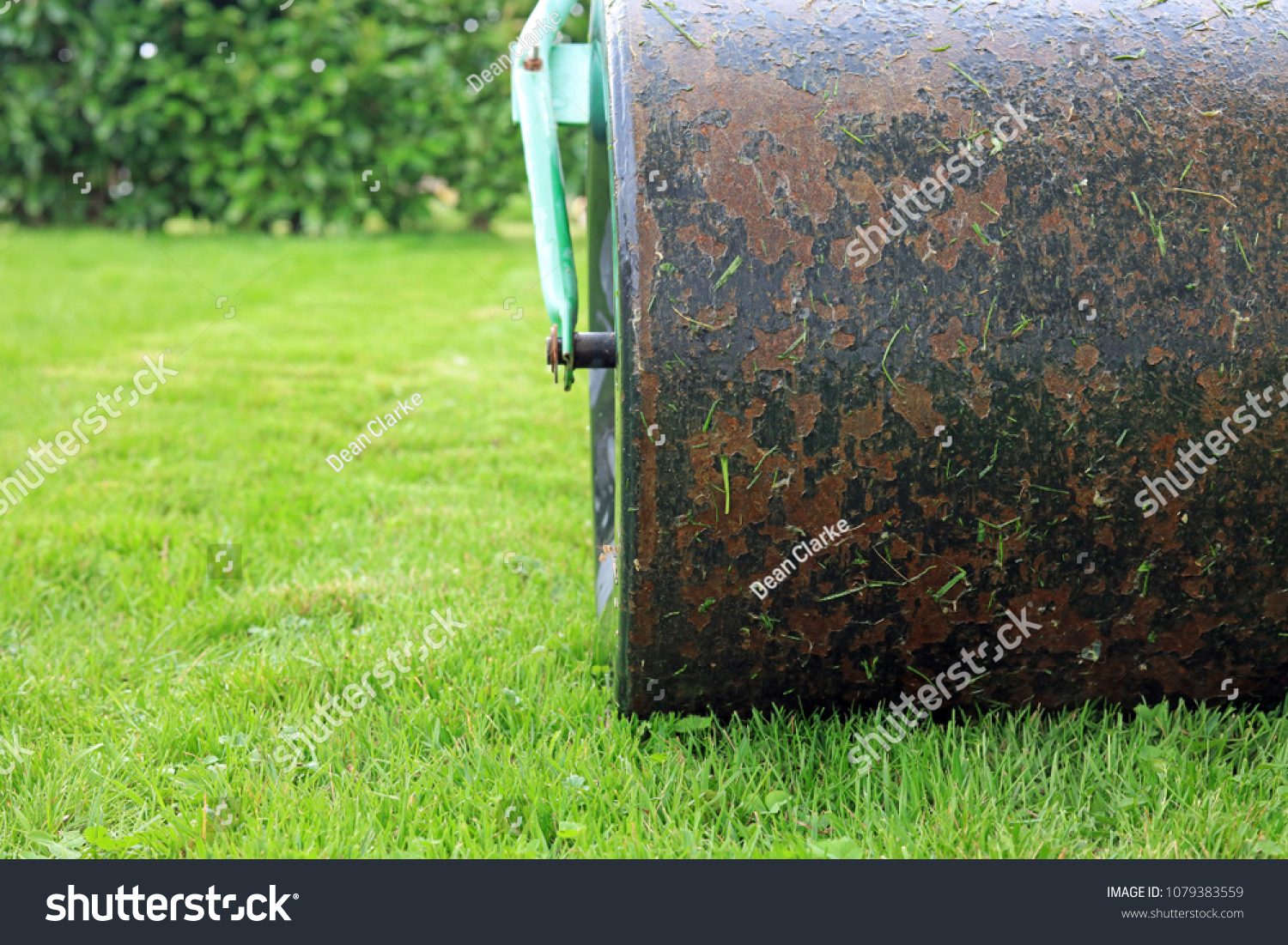 Lawn Roller Rolling Out Uneven Ground Stock Photo Edit Now 1079383559