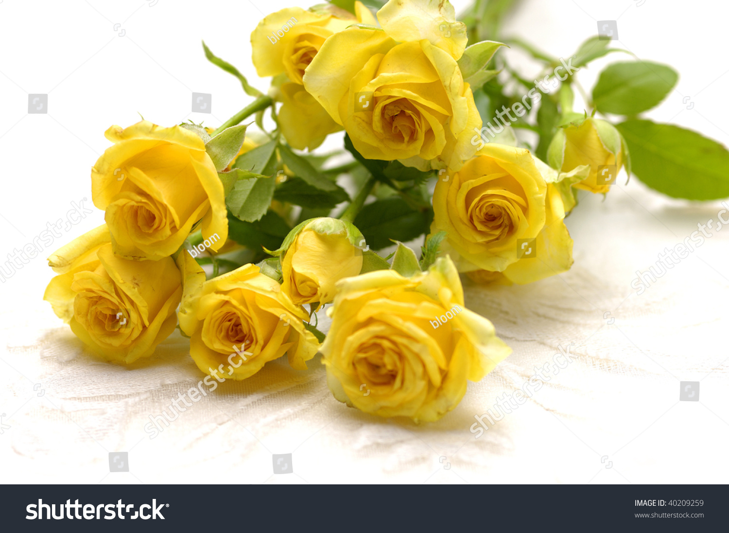 Lay Down Bouquet Of Yellow Roses Stock Photo 40209259 : Shutterstock