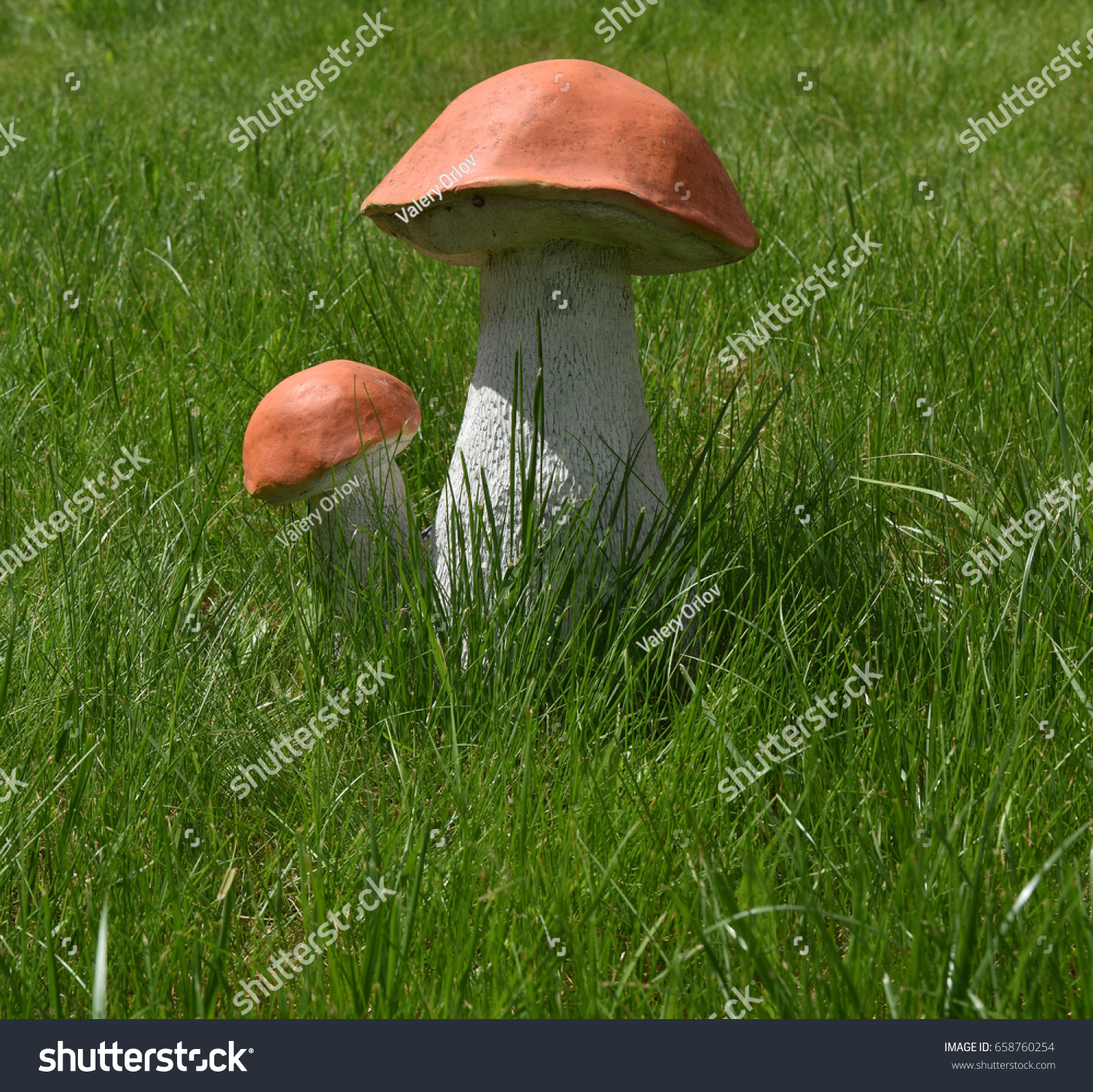 mushroom garden toy