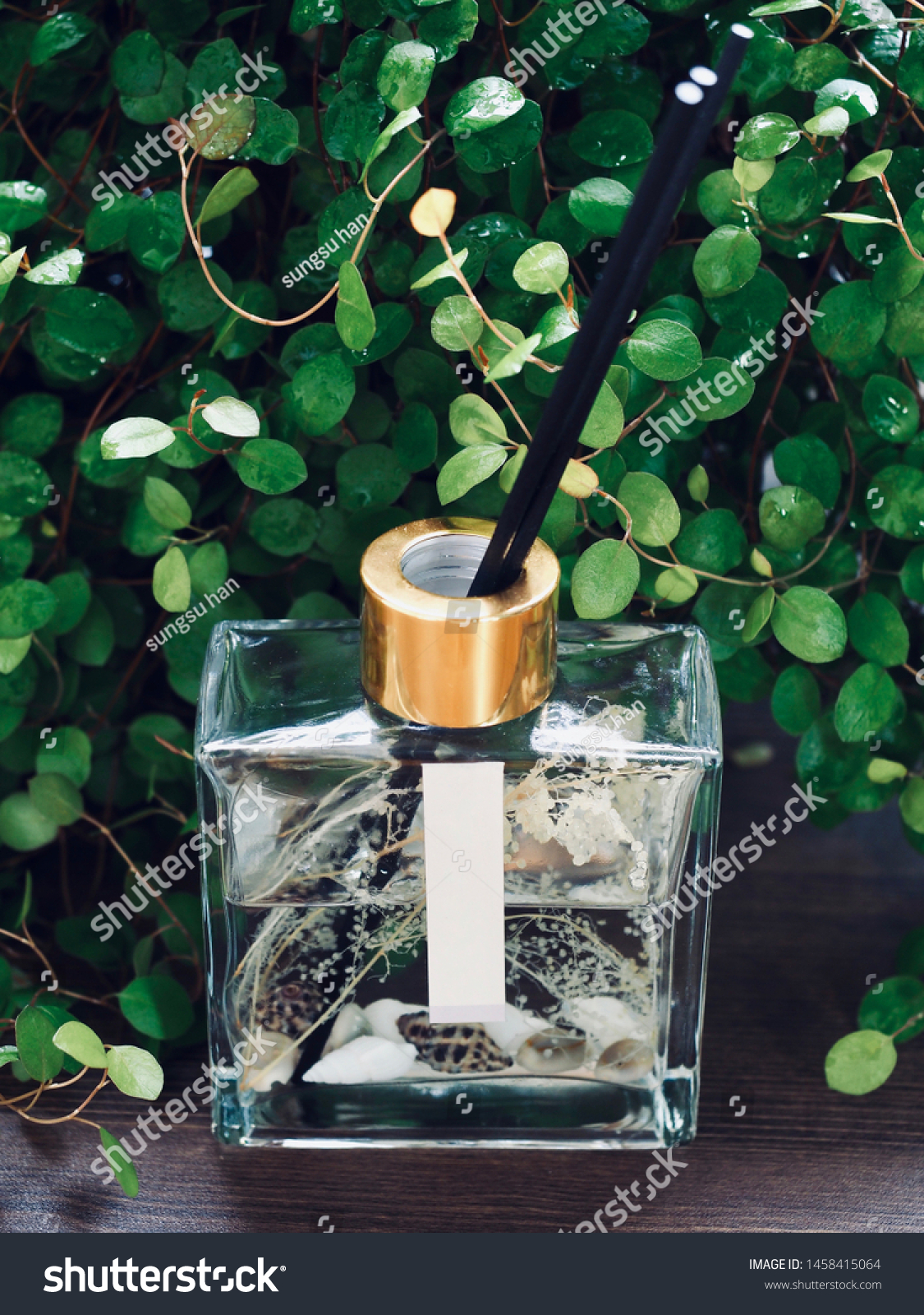 Download Leaf Diffuser Glass Bottle Leaf Fragrance Stock Photo Edit Now 1458415064 Yellowimages Mockups