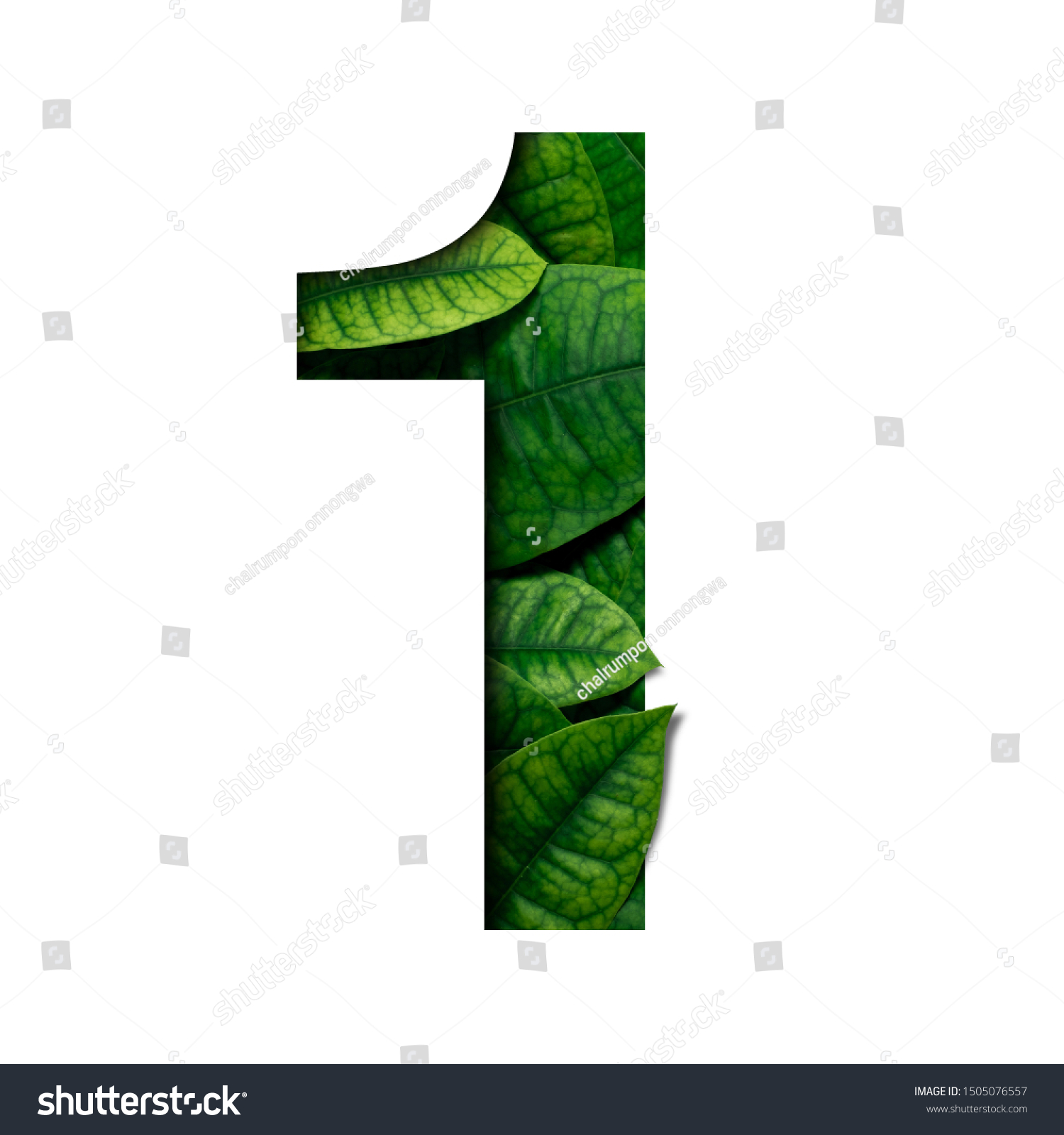 9,342 Number 1 leaves Images, Stock Photos & Vectors | Shutterstock