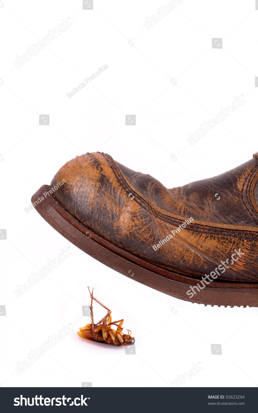 Leather Boot Ready To Trample Cockroach Stock Photo 92623294 : Shutterstock