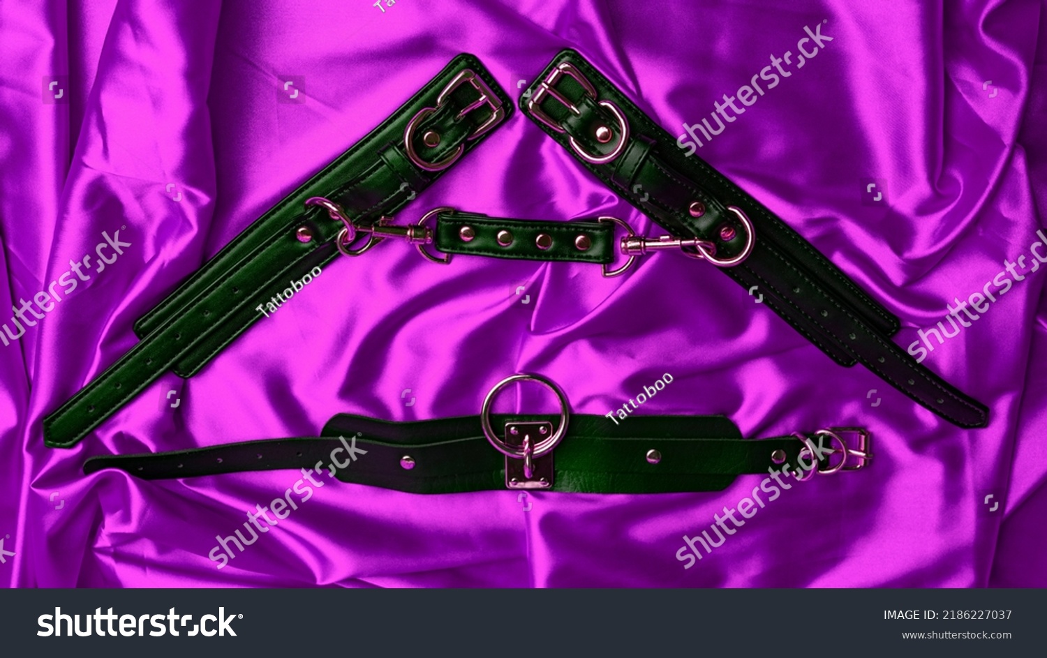 833 Strap On Sex Görseli Stok Fotoğraflar Ve Vektörler Shutterstock 2562