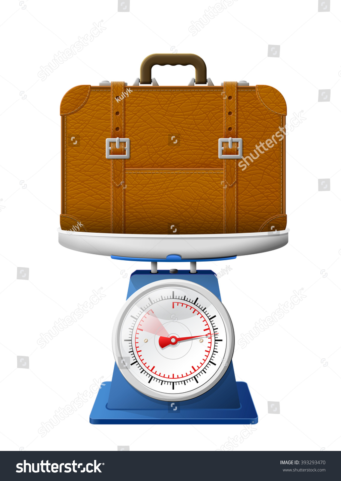 travel bag scales