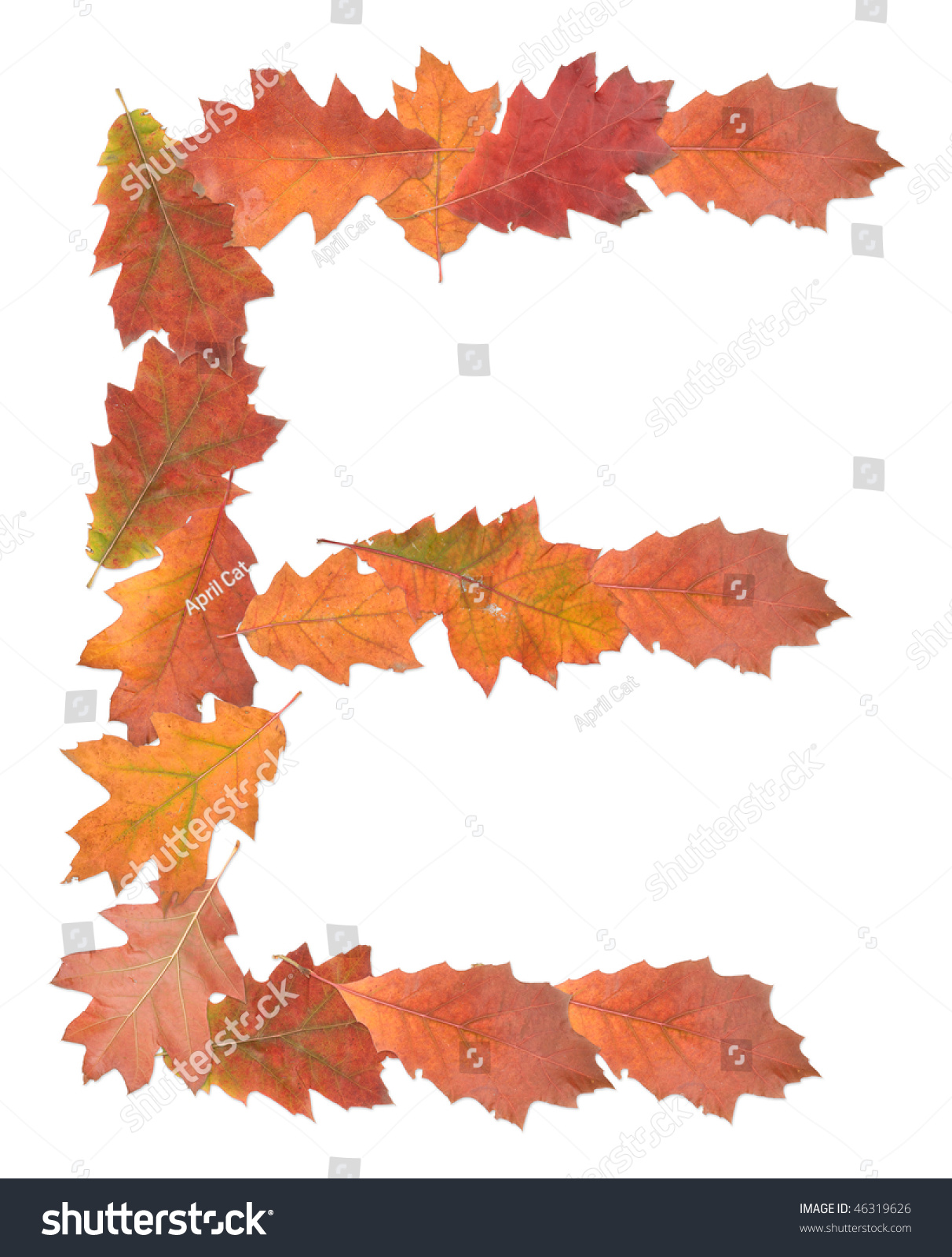 Letter E Made Of Oak Autumn Leaves Stock Photo 46319626 : Shutterstock