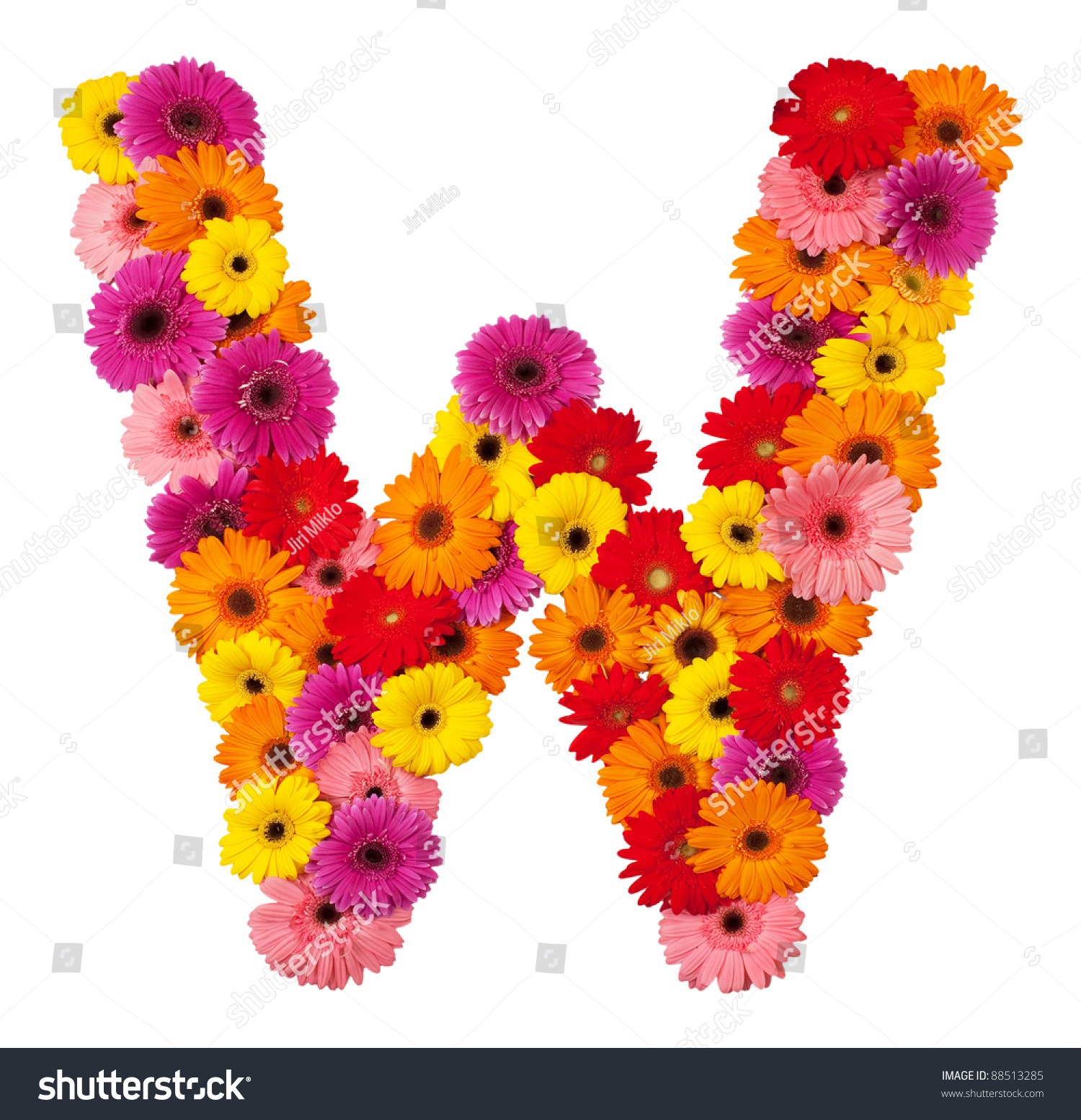 Letter W Flower Alphabet Isolated On Stock Photo 88513285 - Shutterstock