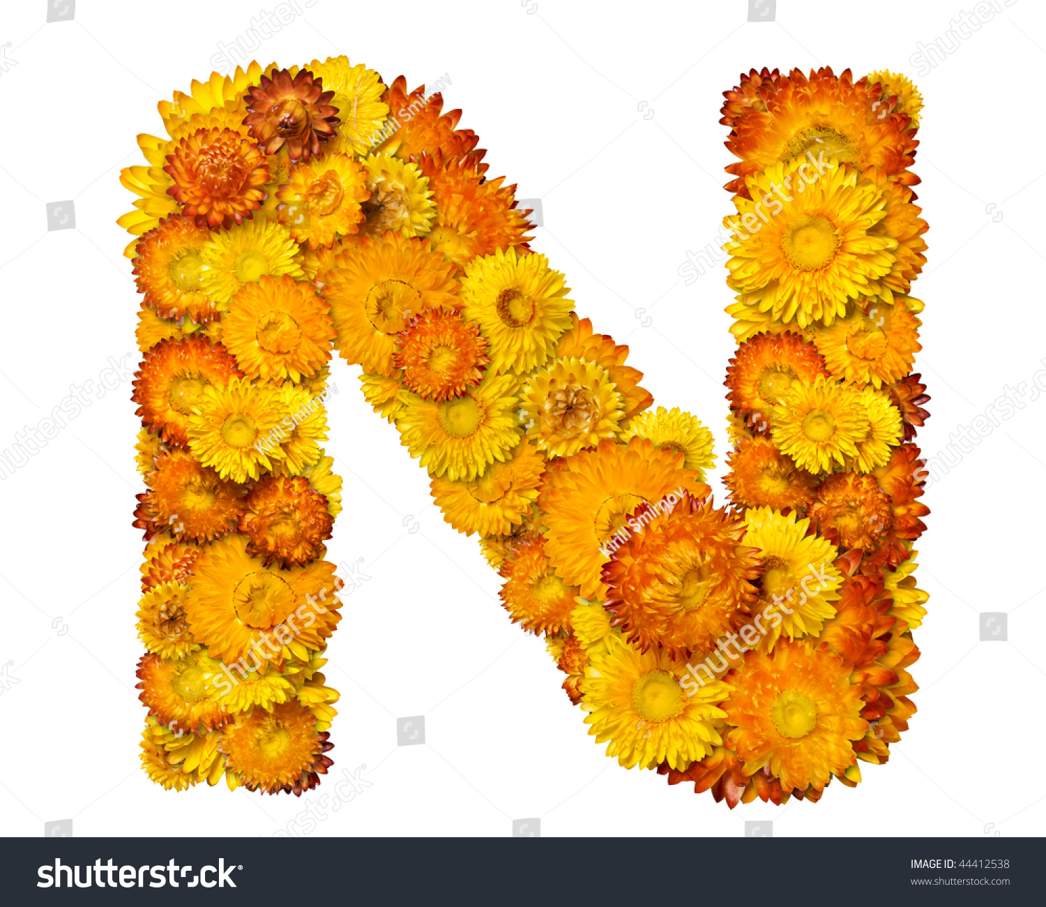 Letters From Alphabet From Yellow And Orange Flowers. Isolated On White ...