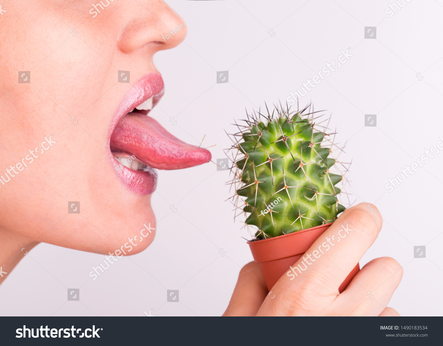 Lick Prickly Cactus Your Tongue Cactus Stock Photo (Edit Now) 1490183534