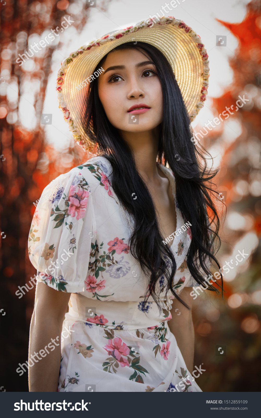 https://image.shutterstock.com/z/stock-photo-life-portrait-thai-model-of-a-beautiful-girl-in-a-vintage-dress-and-hat-in-the-garden-and-light-1512859109.jpg