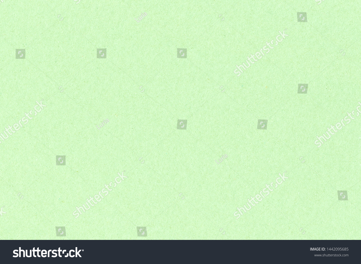 Light Green Paper Texture Simple Background Stock Photo 1442095685 ...