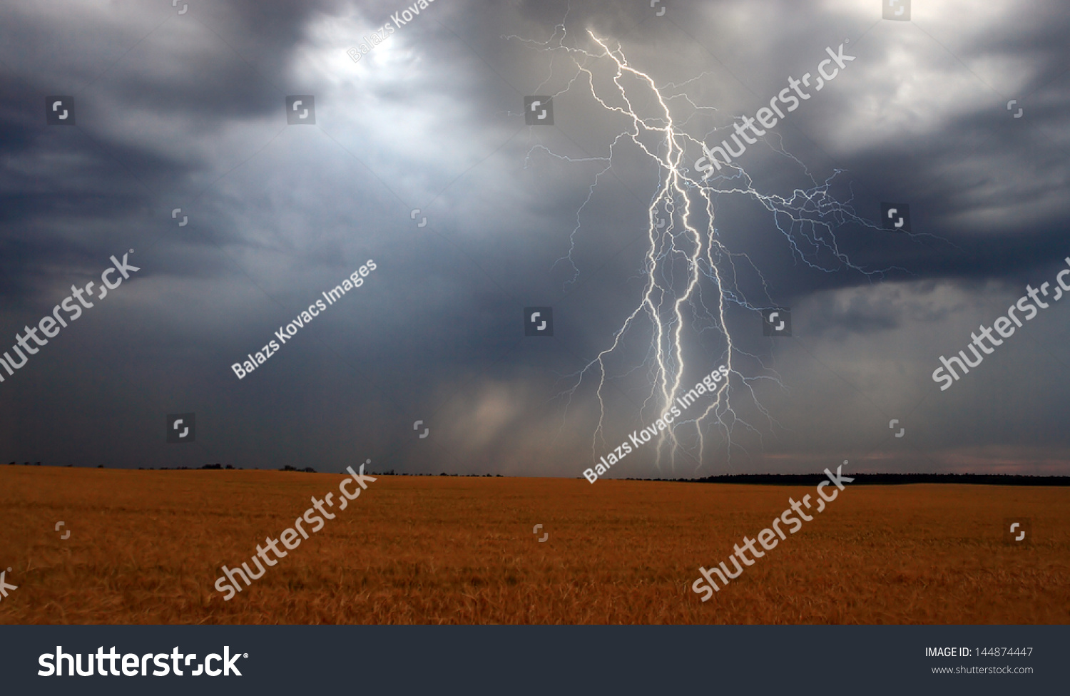 Lightning Over Corn Field Stock Photo 144874447 : Shutterstock