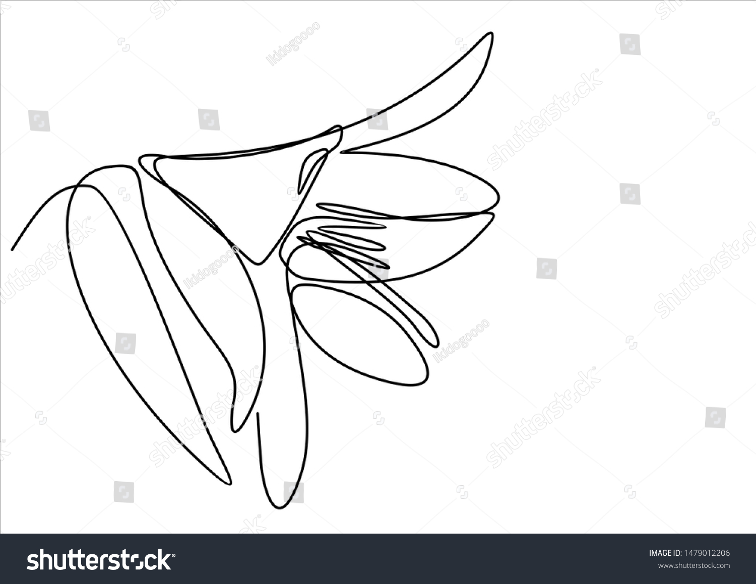 Lilly Flower Continuous Line Illustration Stock Illustration 1479012206 ...