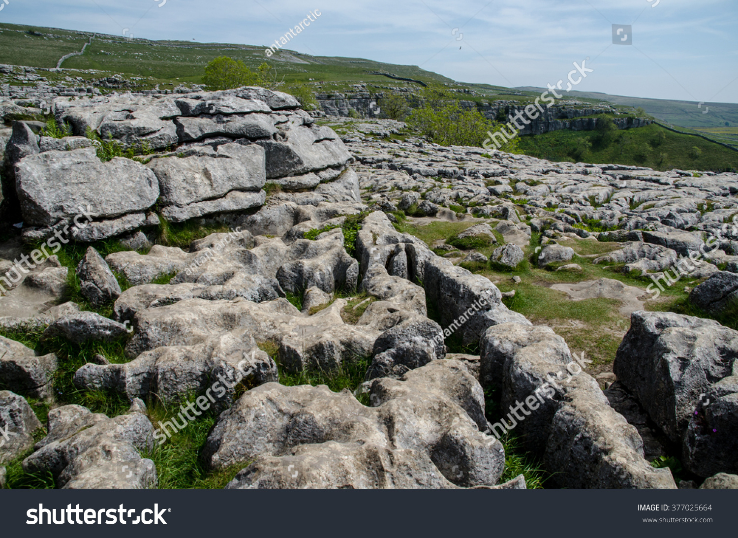 Limestone Pavement. Malham Cove. Malham. Yorkshire Dales. Stock Photo ...