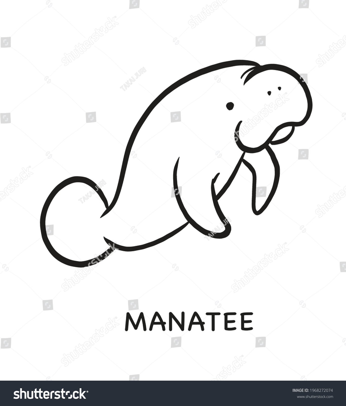 Line Drawing Illustration Manatee Stock Illustration 1968272074 ...