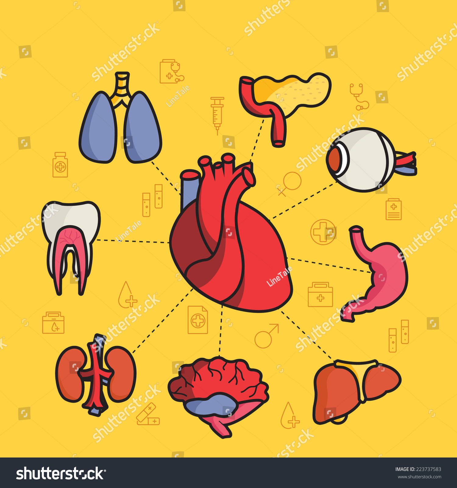 Lines Style Human Organs Set Icons Concept Background With Ribbon ...