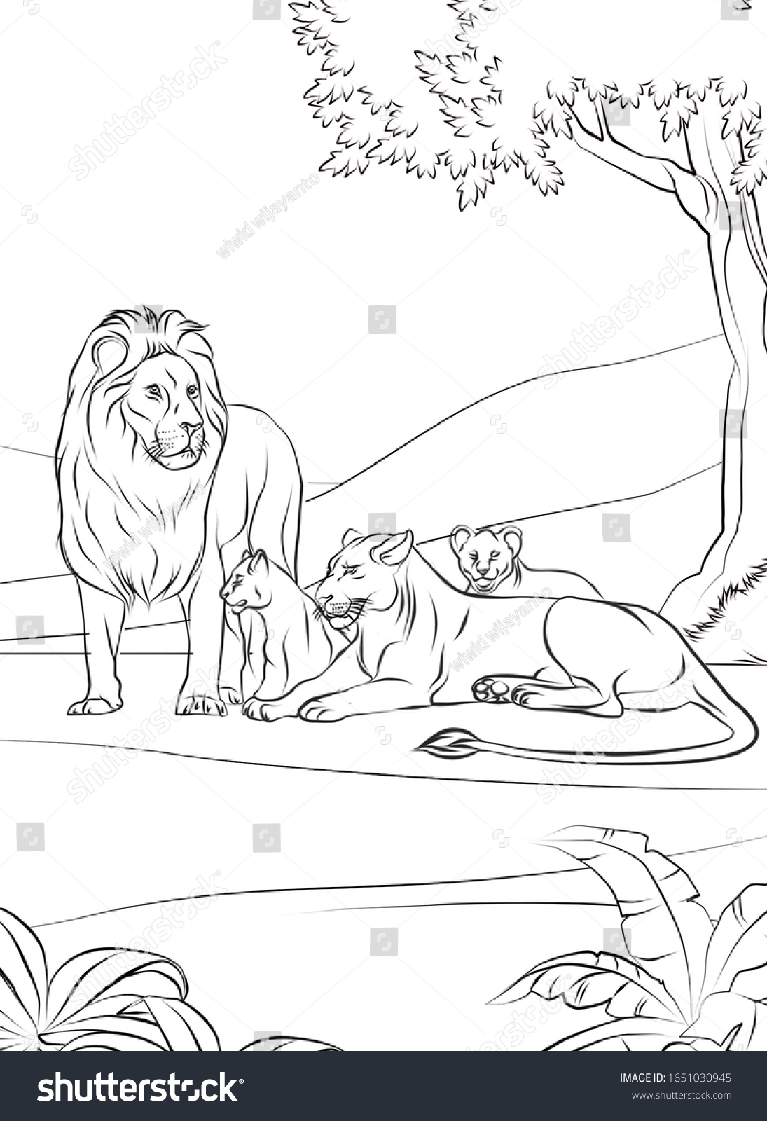 Lion Realistic Animal Coloring Pages Adults Stock Illustration ...