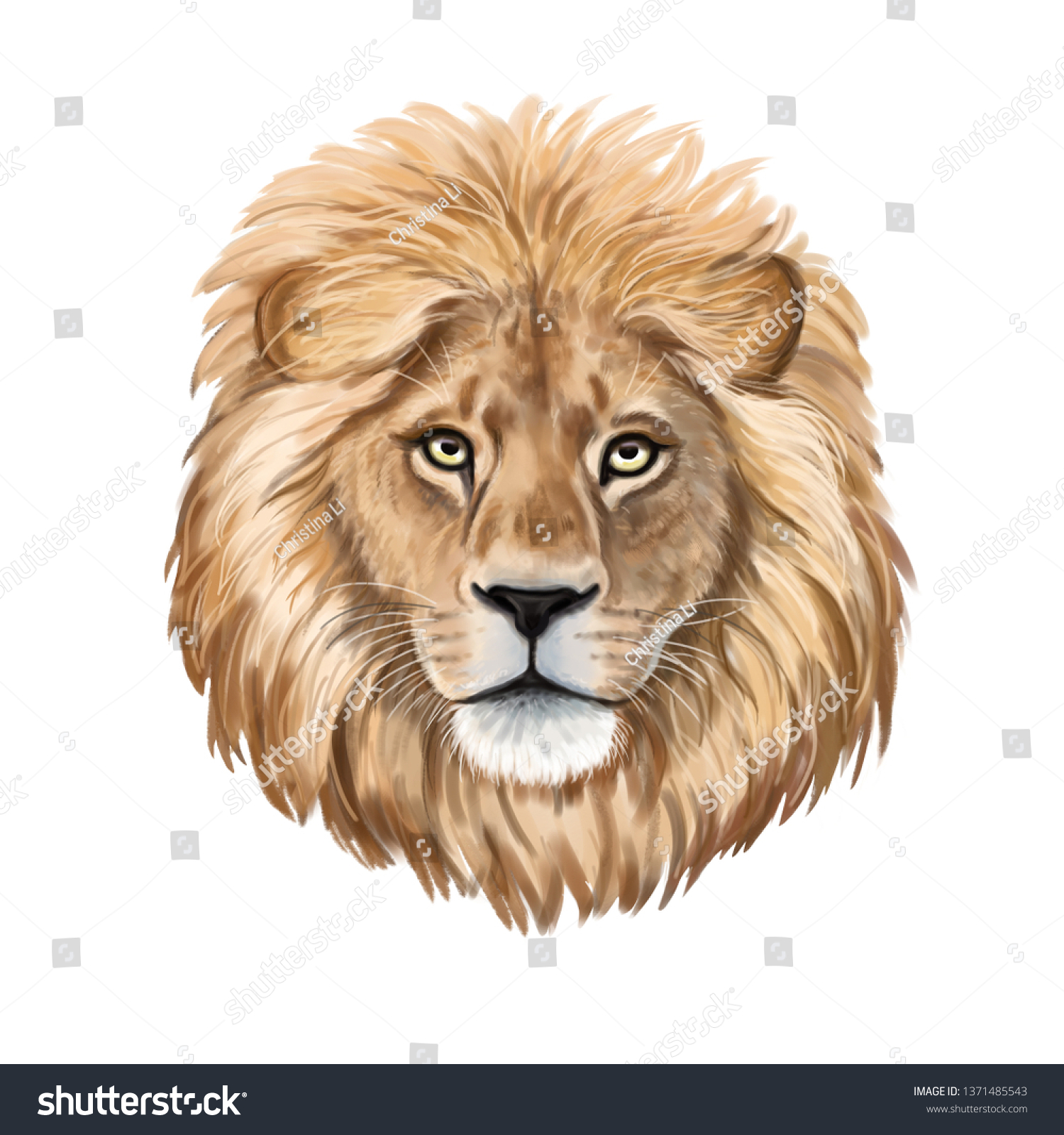 ライオンの水彩イラスト リアルなポートレート 白い背景にライオンの頭 テンプレート 接写 クリップアート 手描き 絵 のイラスト素材