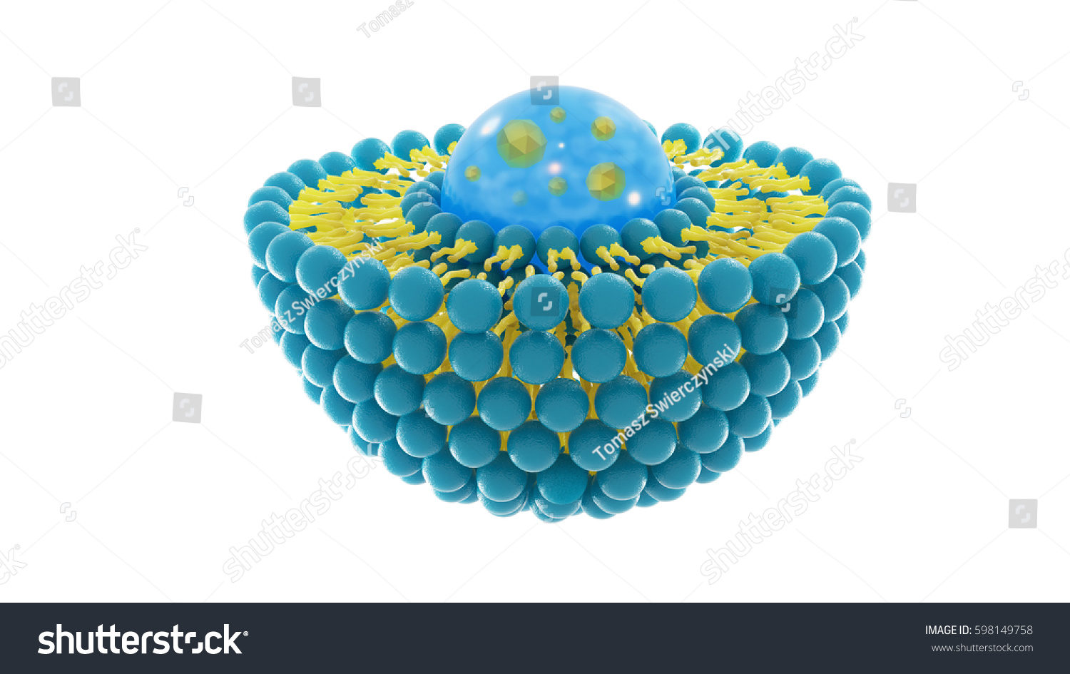 Liposome Structure Cell 3d Rendering Stock Illustration 598149758 ...