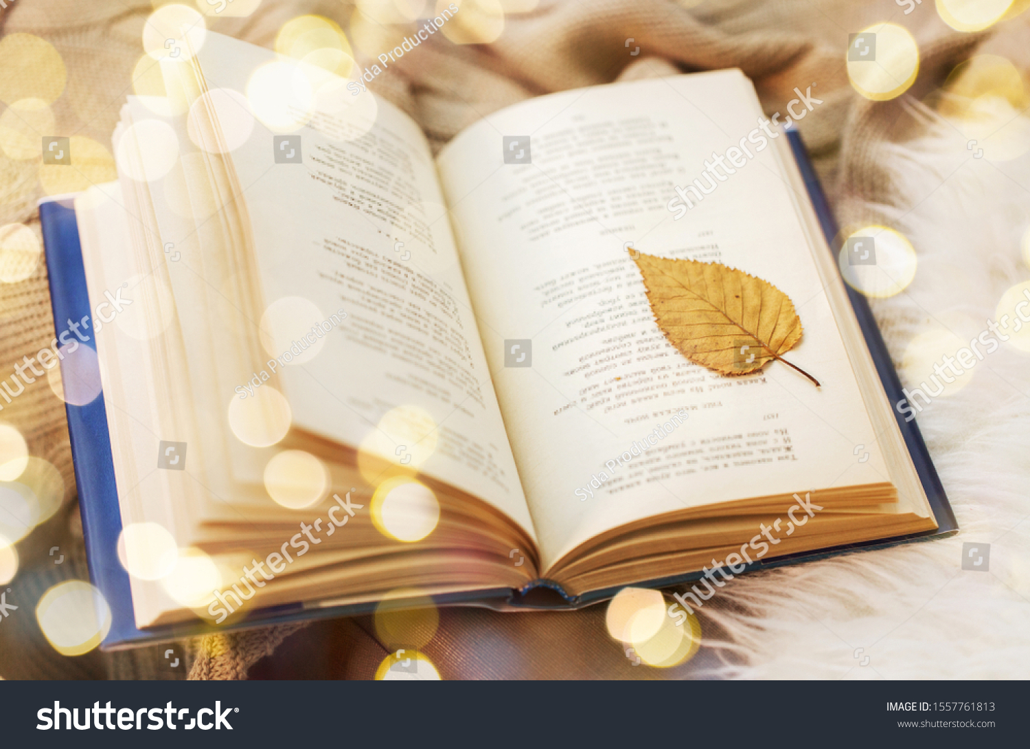 Powerpoint Template Literature Reading And Poetry Concept Immoonipik