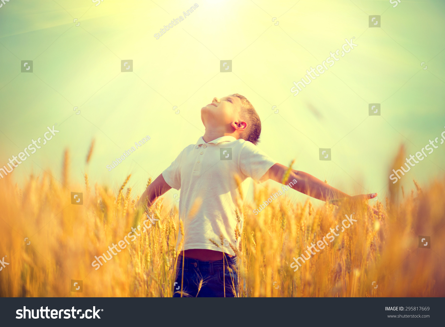 Little Boy On Wheat Field Sunlight Stock Photo 295817669 | Shutterstock