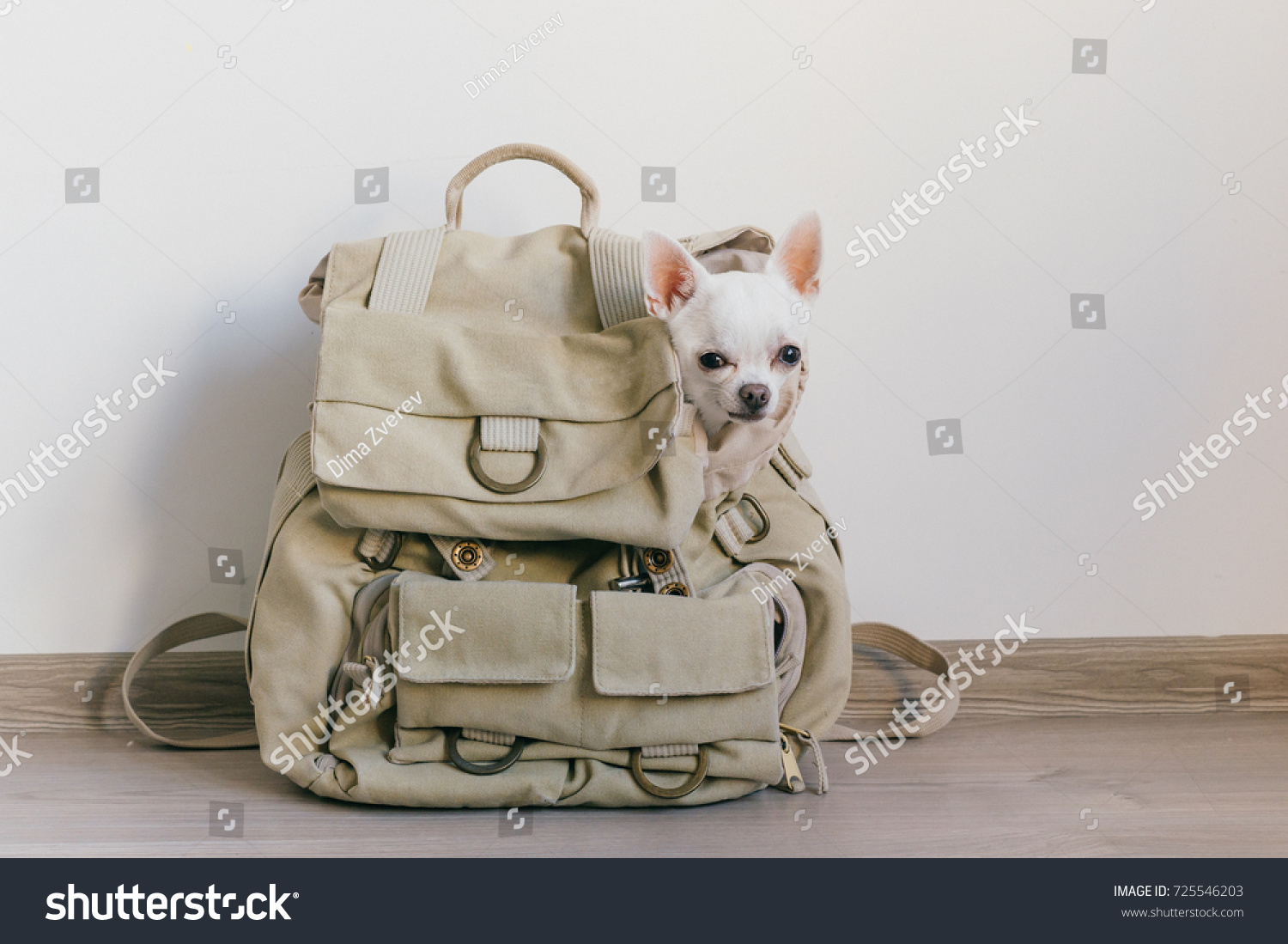 dog face backpack