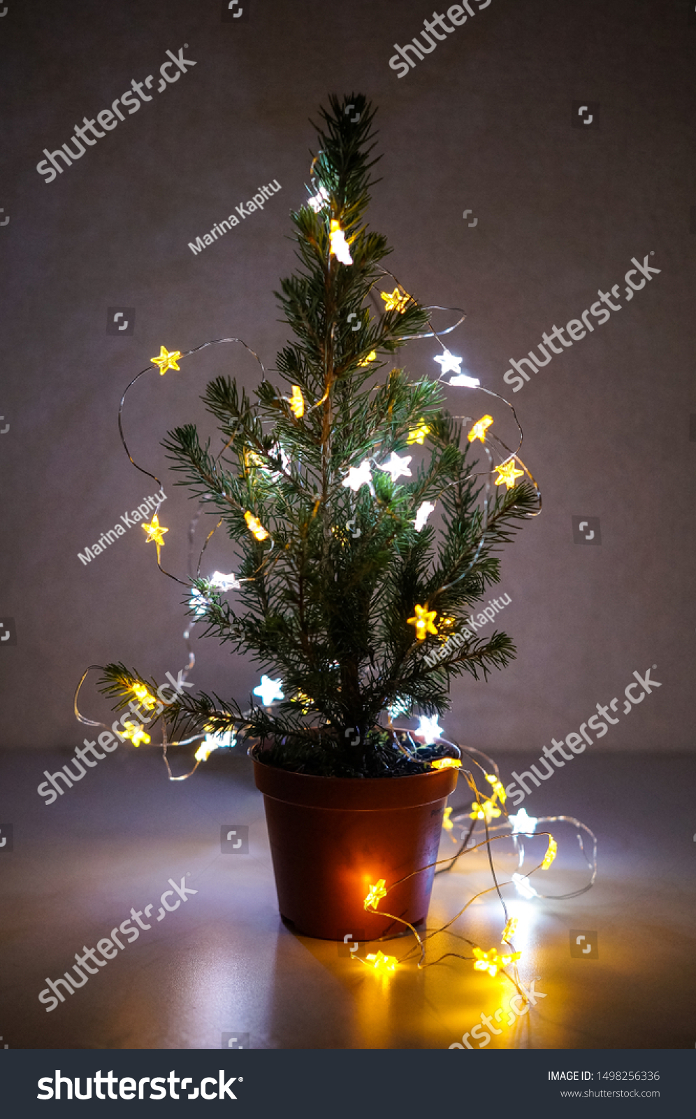 little christmas tree with lights