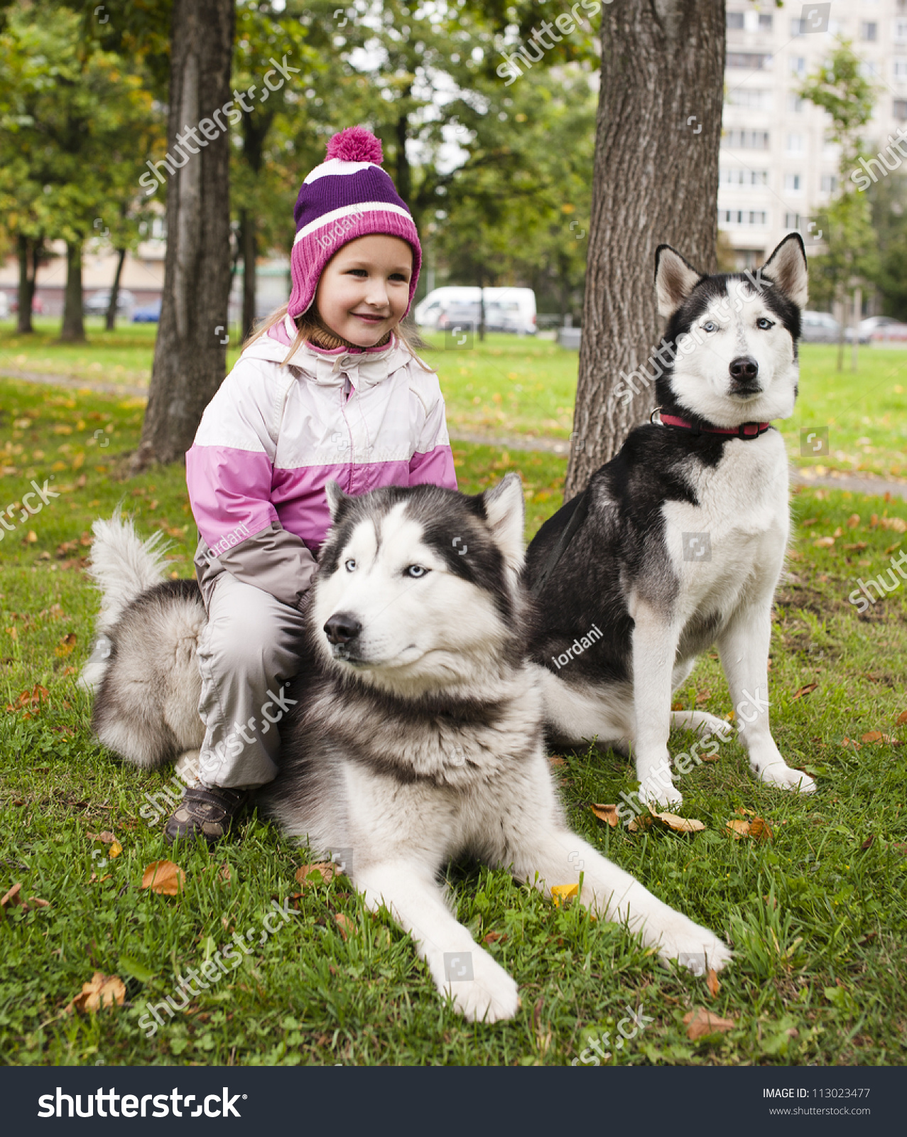 Little Cute Girl With Husky Dog Outside Stock Photo 113023477 ...