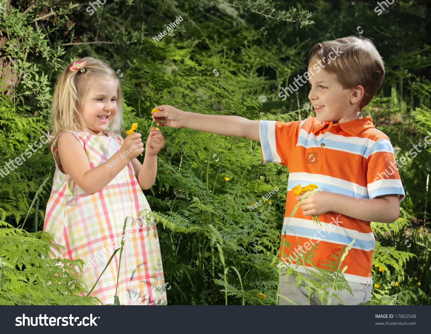 Little Girl And Boy Playing With Wildflowers In Nature Stock Photo 17852548 : Shutterstock